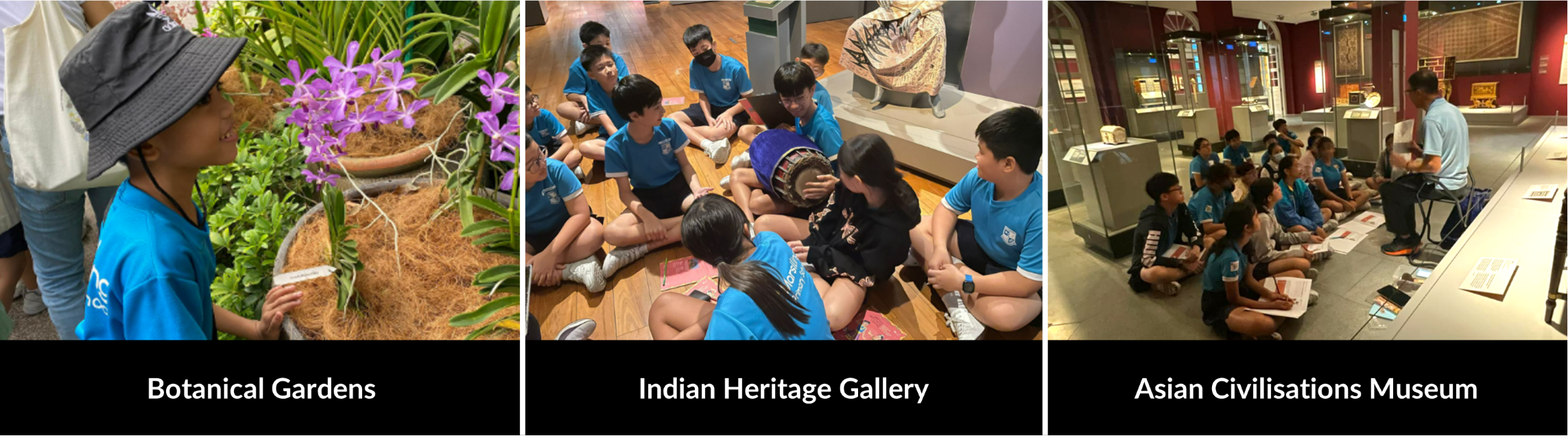 Students in blue shirts on field trips at Botanical Gardens, Indian Heritage Gallery, and Asian Civilisations Museum.