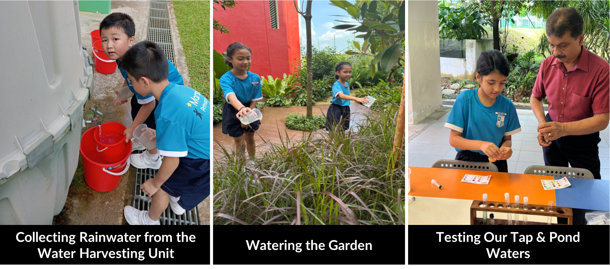 Students collecting rainwater, watering a garden, and testing tap and pond water samples.