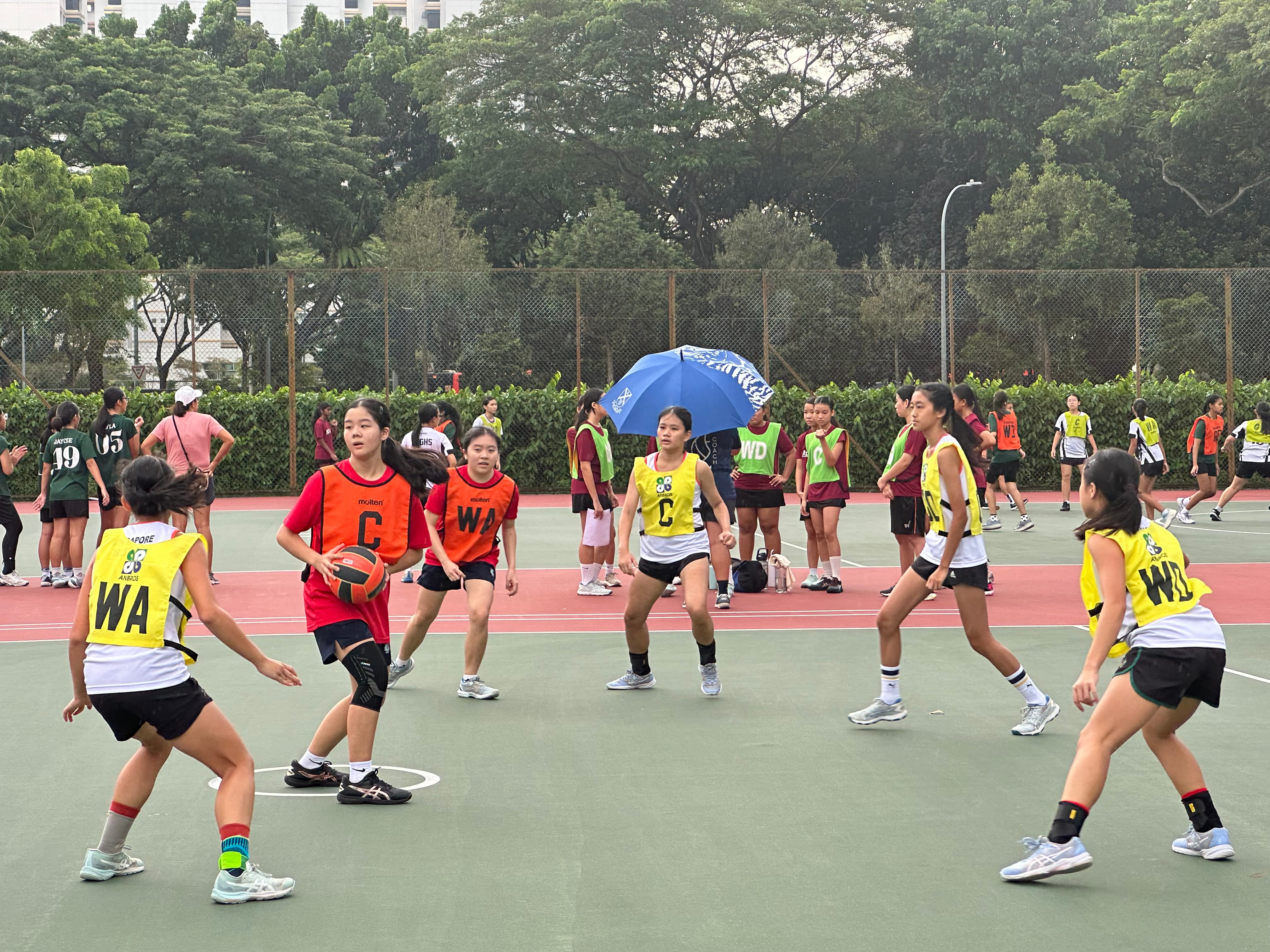 Girls in colored bibs play netball on an outdoor court, with trees and spectators visible in the background.