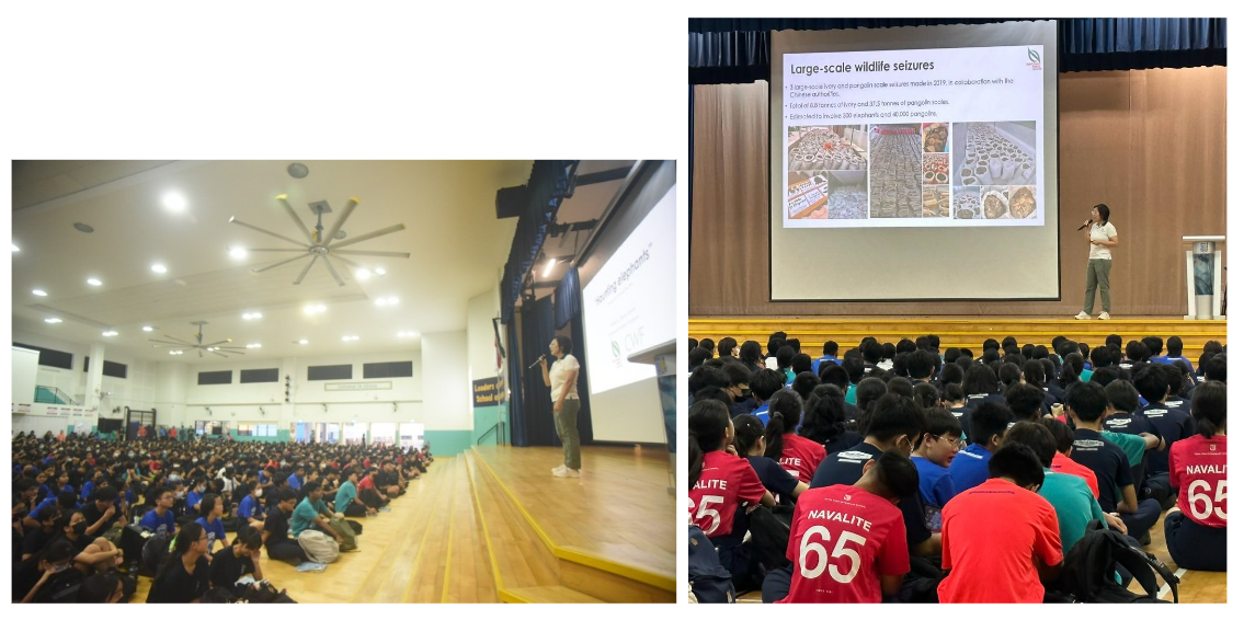Two school assembly scenes with students seated on a floor watching presenters speak near projected slides on wildlife seizures.