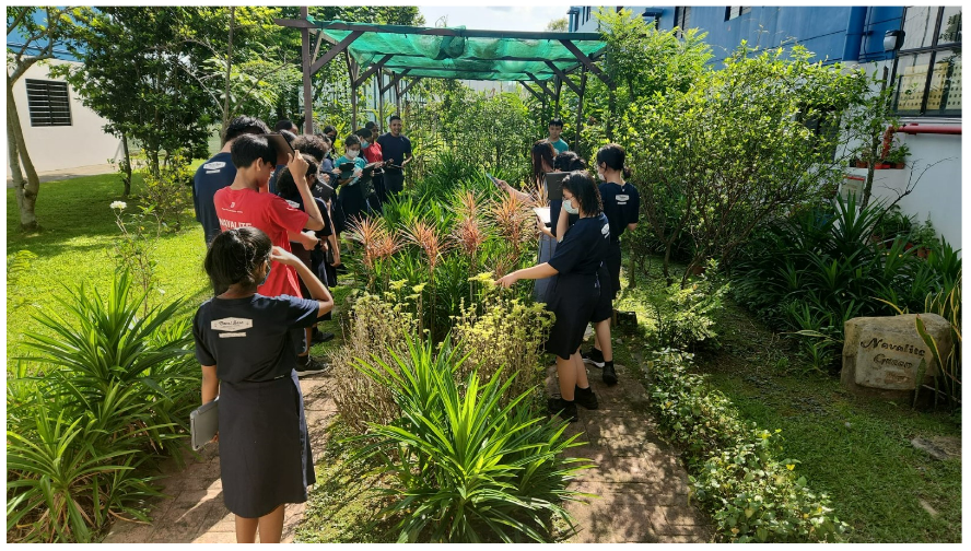A group of students explores a lush garden with tropical plants on a sunny day near a building.