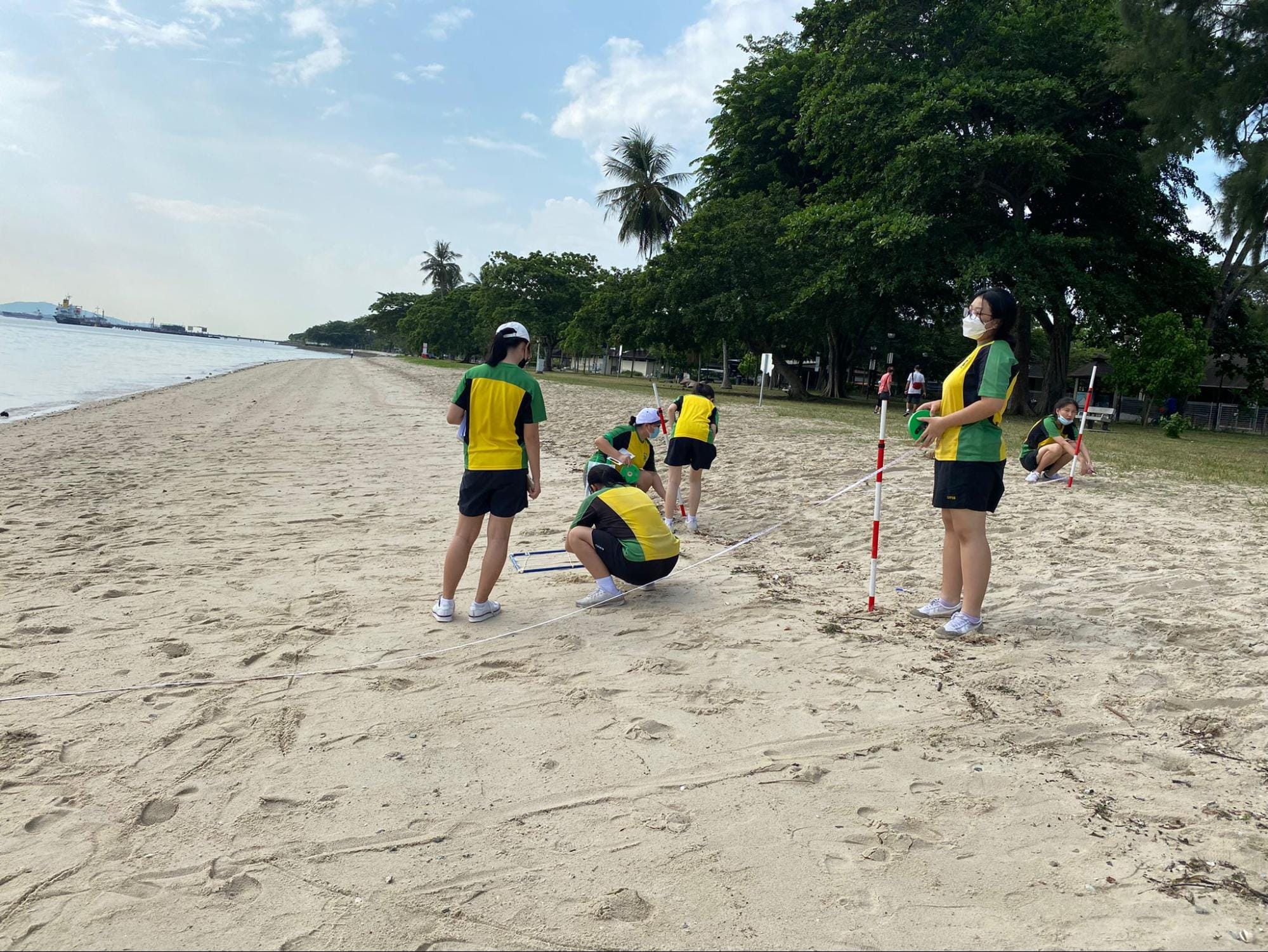 A group of high school students in green and yellow uniforms conducting a geography or science field study on a sandy beach. One student holds a survey pole, while others crouch down near a trundle wheel and measuring tape laid across the sand. In the background, the coastline stretches toward trees, palm trees, and distant cargo ships on the sea under a bright, partly cloudy sky.