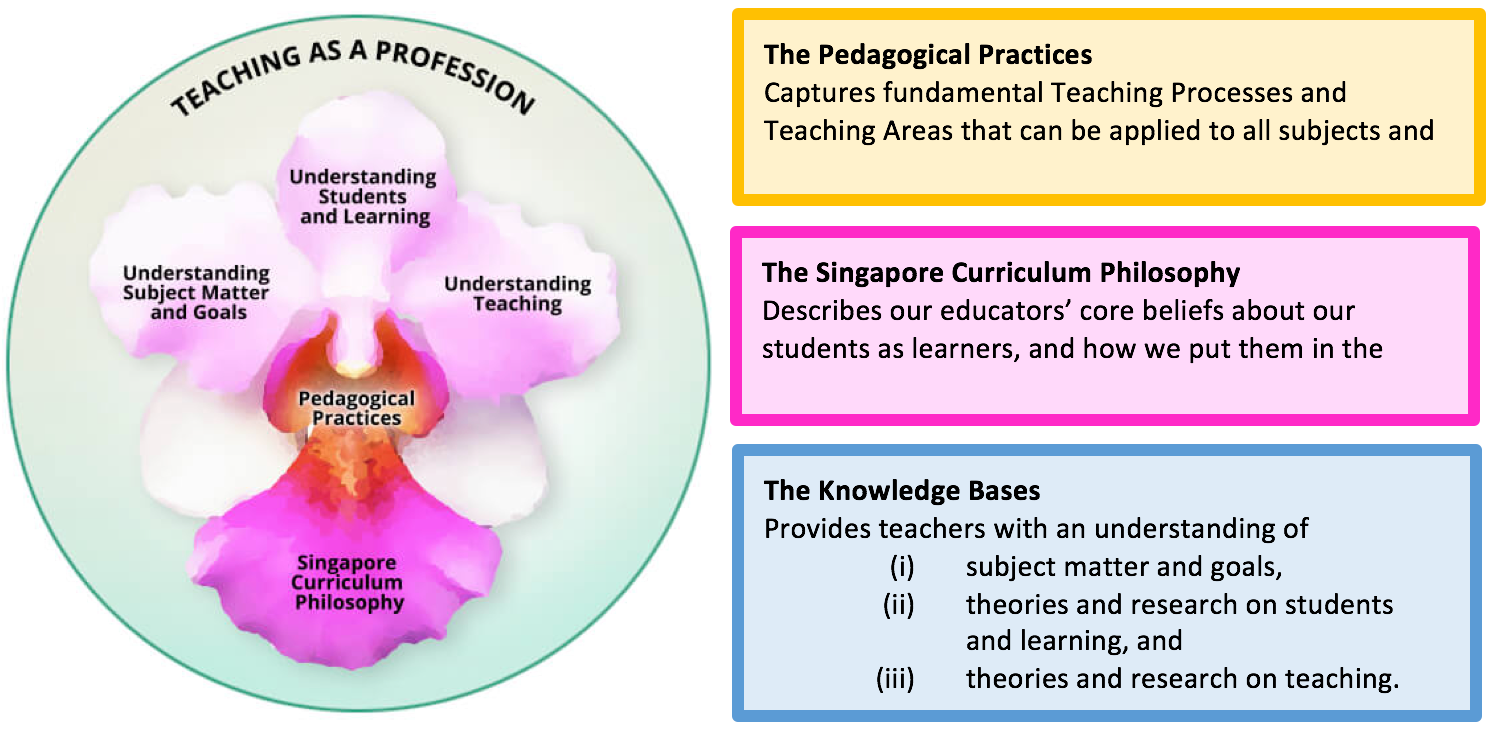 Flower diagram labeled Teaching as a Profession with petals showing pedagogy, curriculum, and knowledge bases.