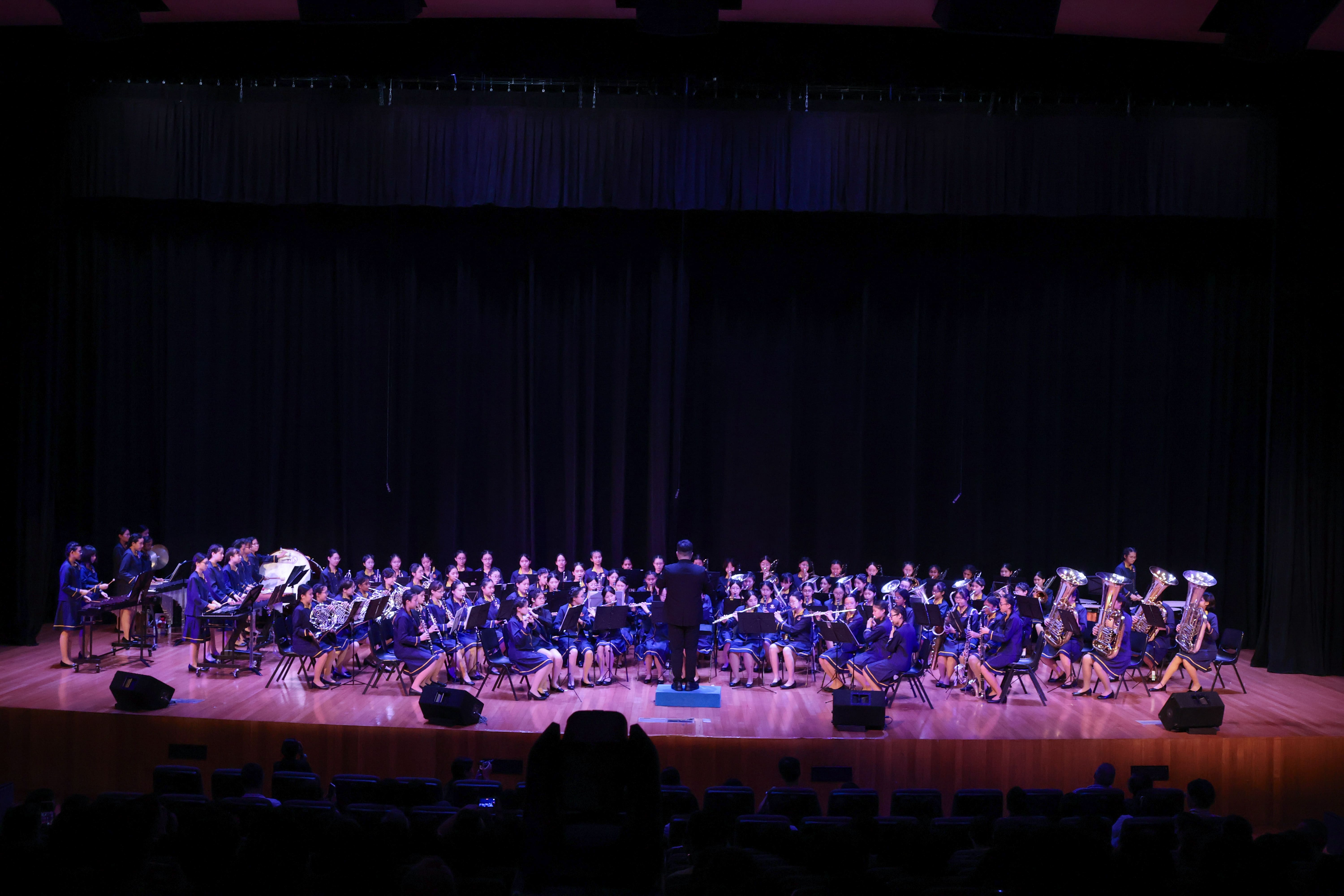 PL110 Musical Montage