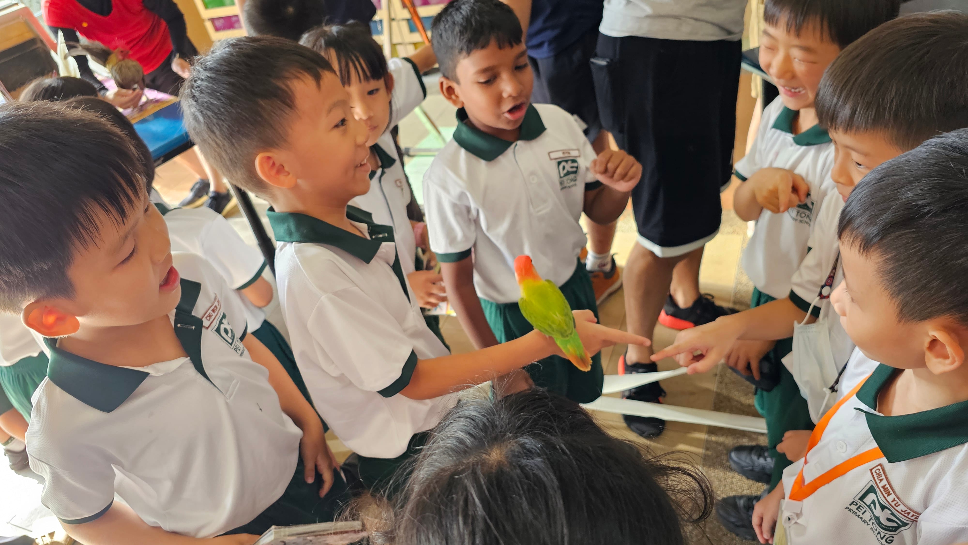 Students gathered around a classmate holding a colourful bird, as students excitedly observe and interact with the animal during an experiential learning activity.