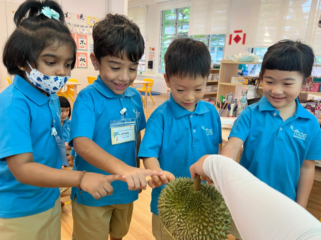 Kindergarten children explore and describe a durian by observing, touching and sharing their ideas, building vocabulary through hands-on learning.