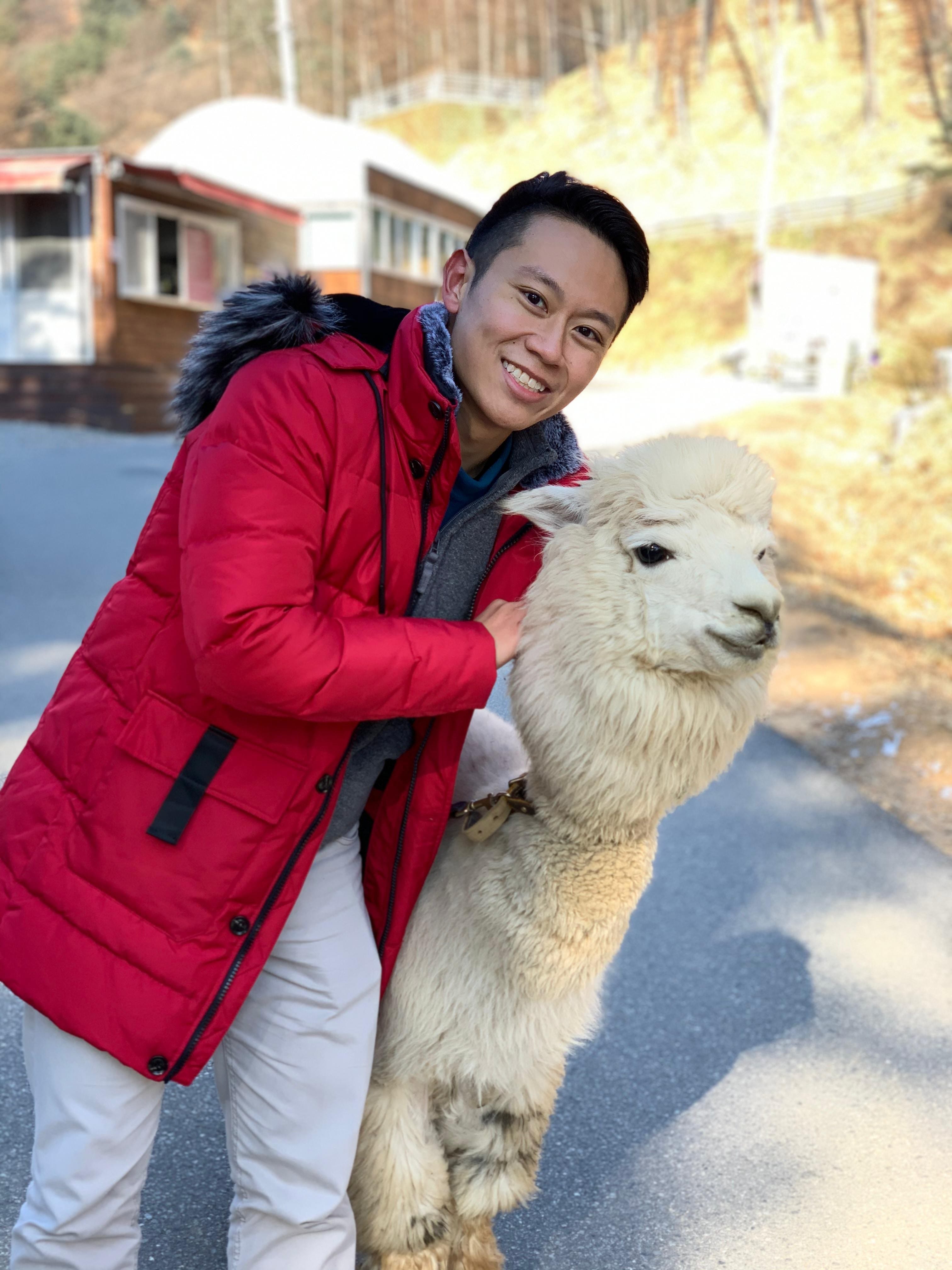 Smiling man in a red winter jacket hugging a fluffy white alpaca on a paved road near small buildings.