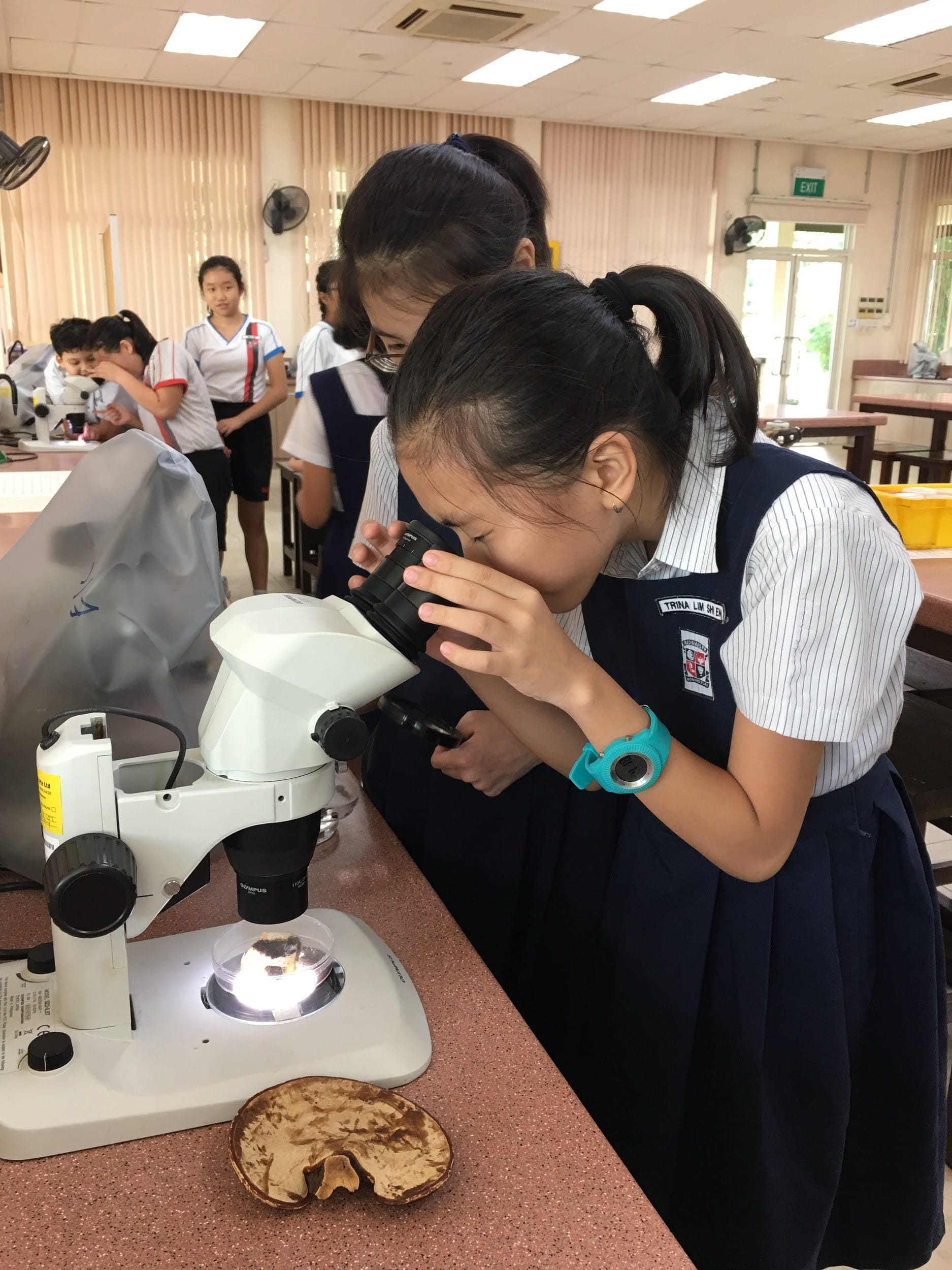 Science Centre Enrichment