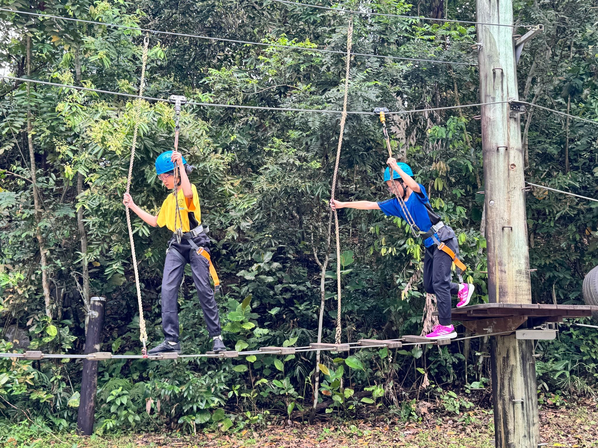 Two people in blue helmets and harnesses balance on a high ropes course with green trees behind them.