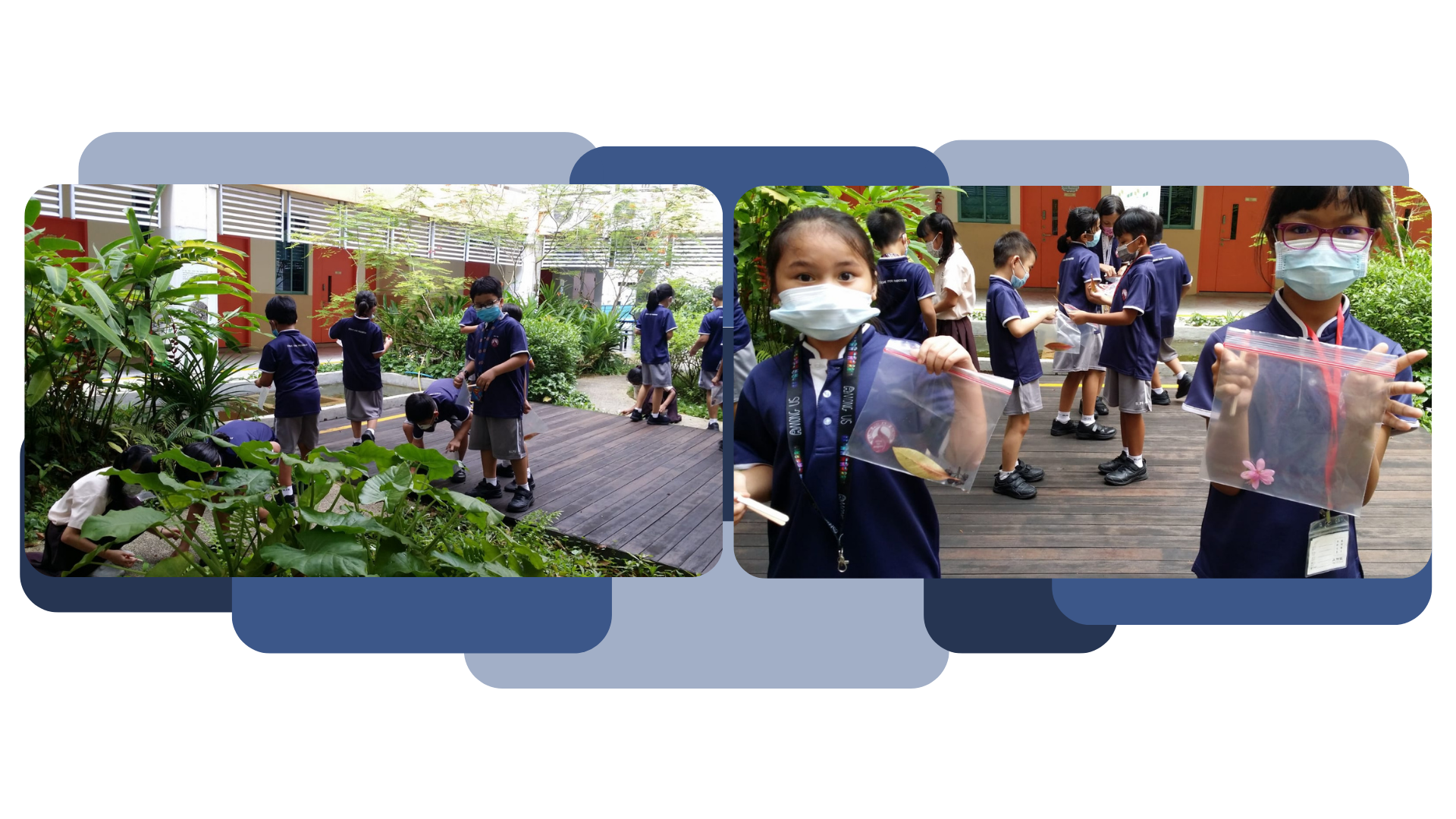 School children in uniforms and masks explore a garden and hold clear bags with collected plant specimens.