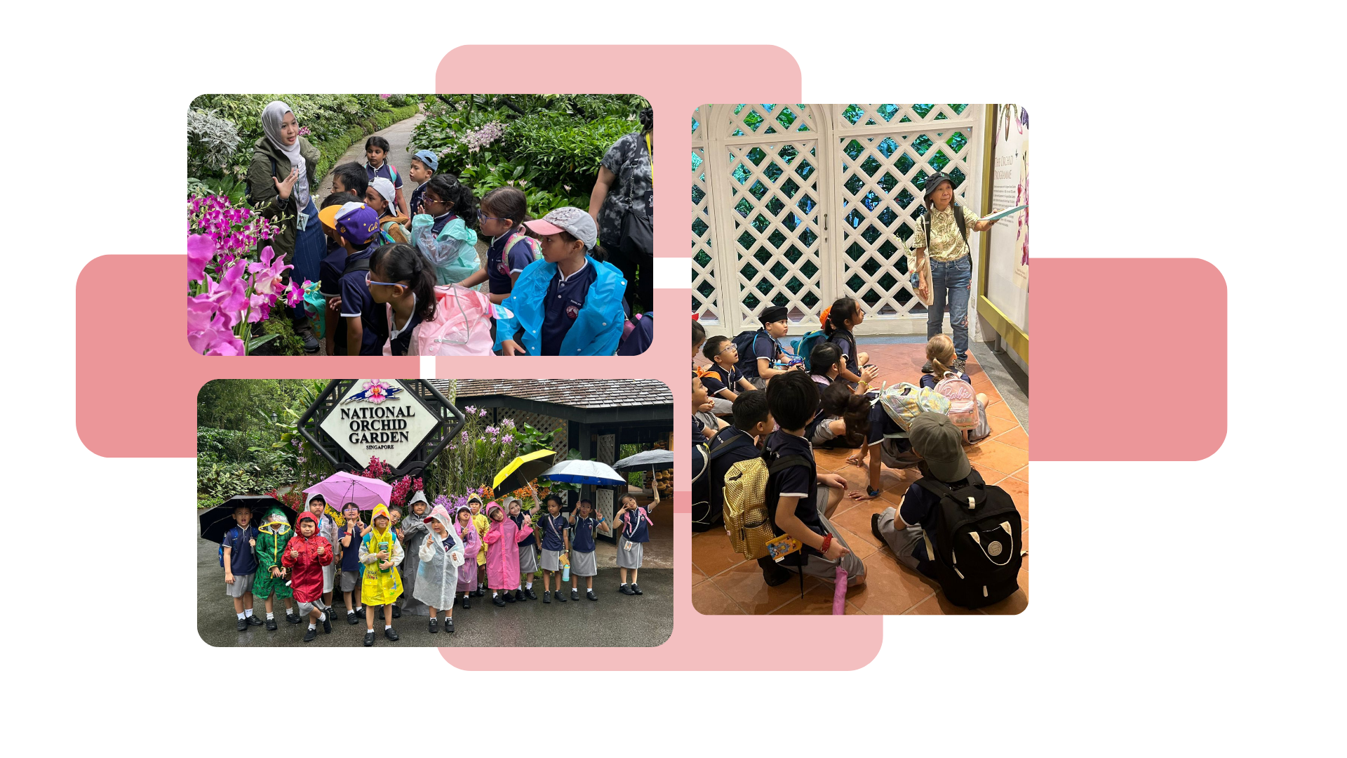 Three photos of a school field trip to Singapore's National Orchid Garden, showing children with teachers and a guide.