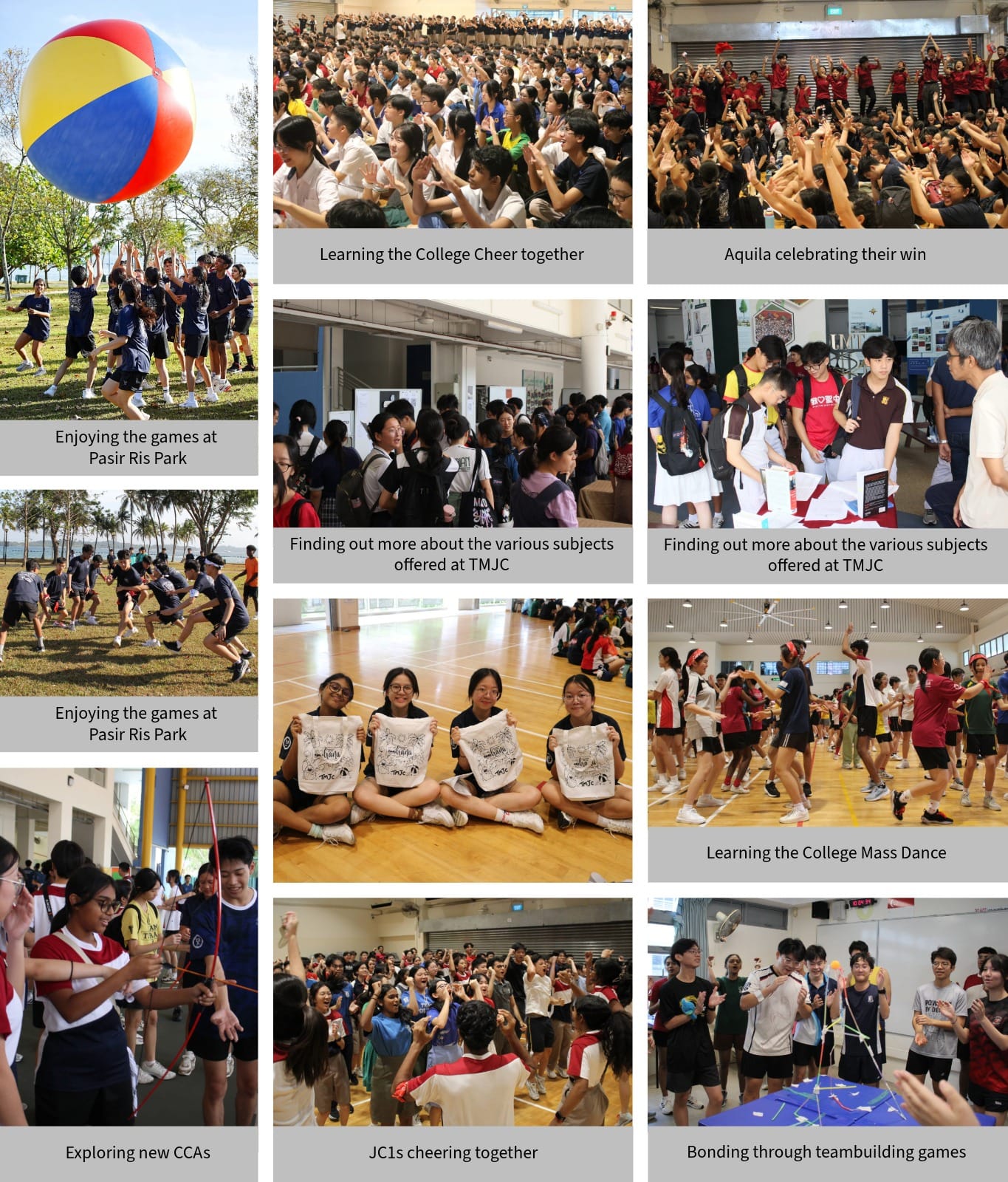 A collage of students at a college orientation with games, cheering, dancing, subject fairs, and team-building activities.
