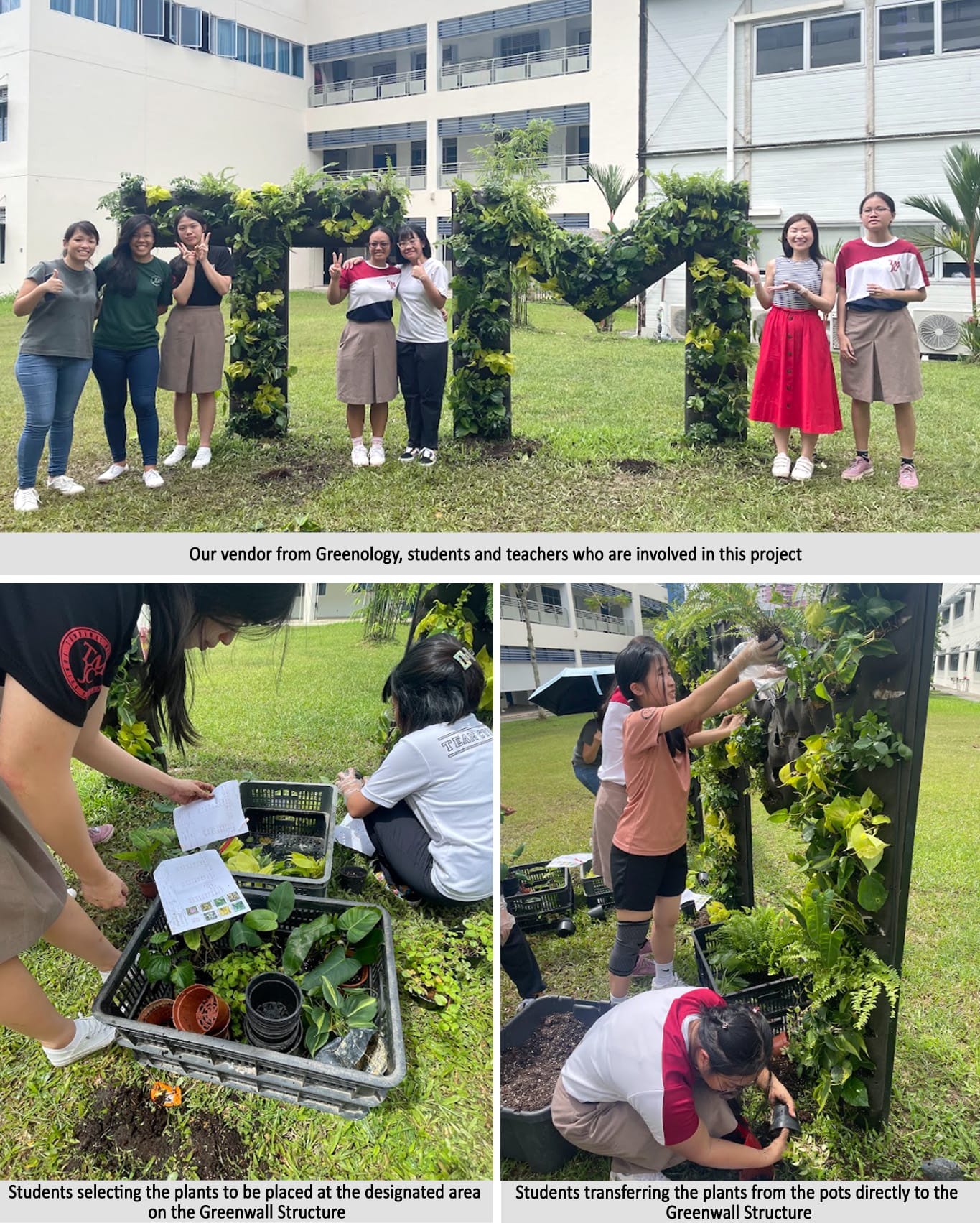 Students and teachers pose by large plant-covered letters, then work together installing plants onto a green wall structure outdoors.