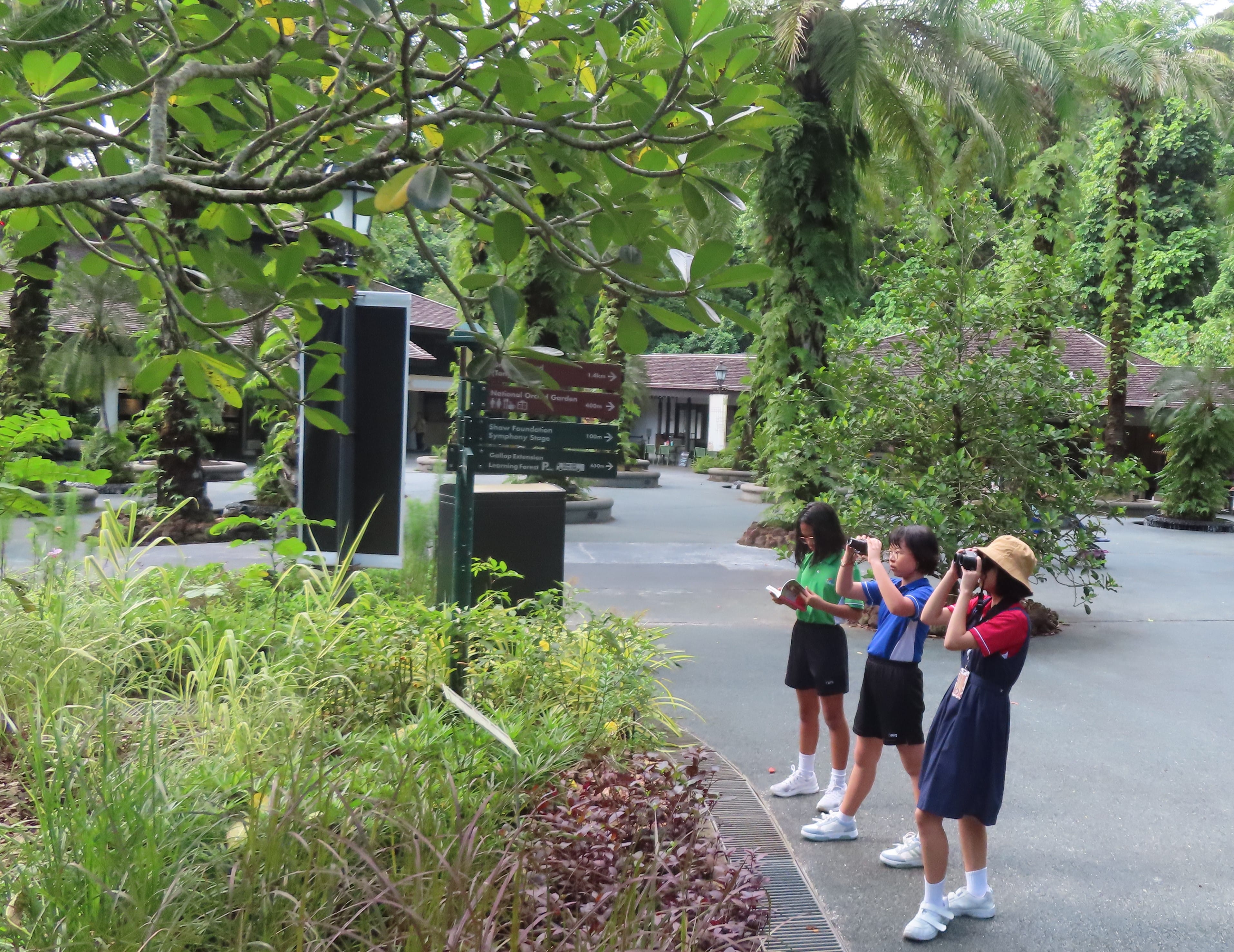 Green Club students explore a lush tropical garden path, using binoculars to observe local birds and nature.