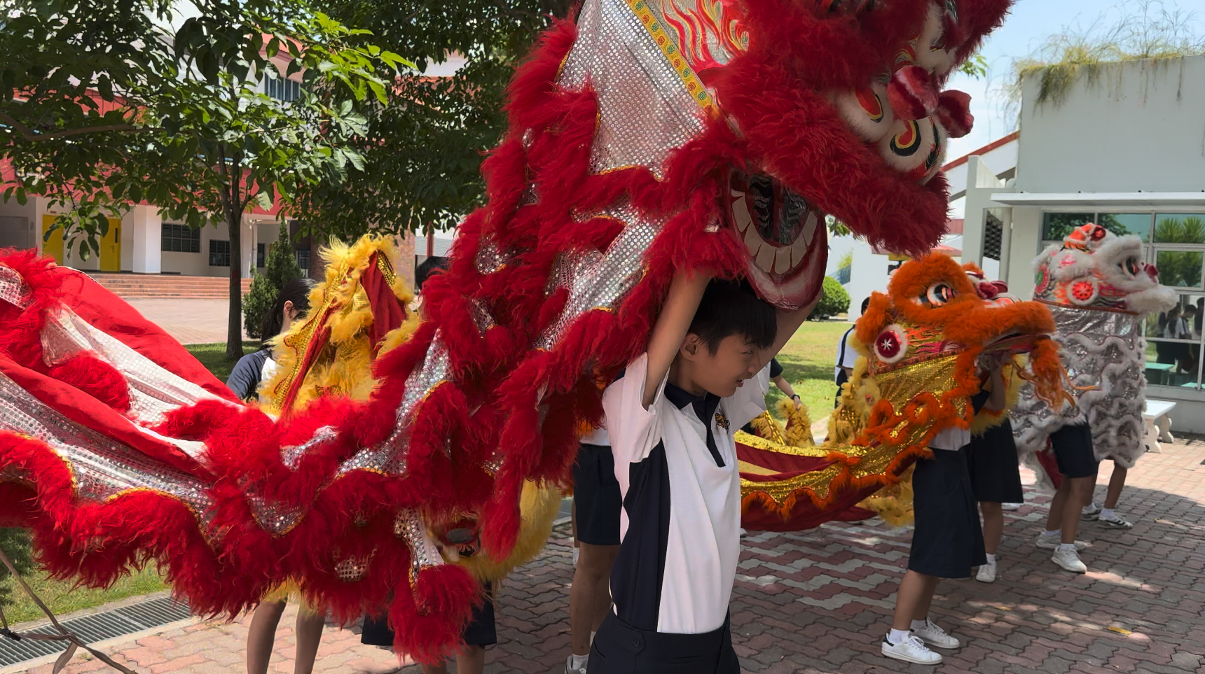 Students in school uniforms perform a traditional Chinese lion dance outdoors with red, orange, and white lion costumes.