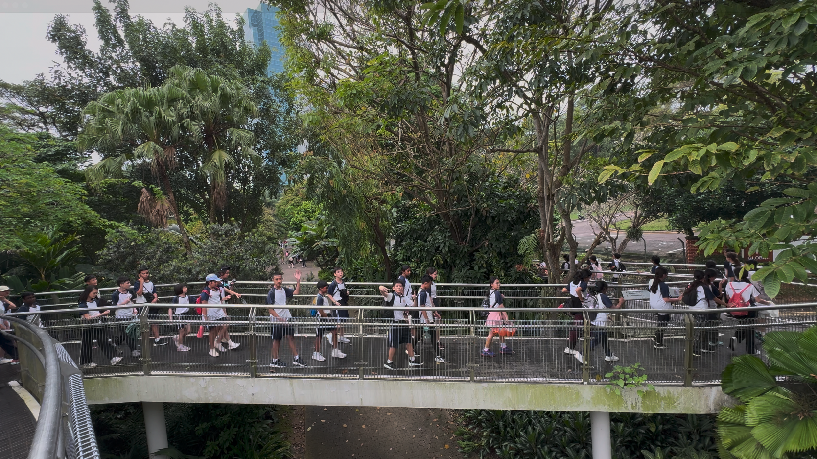 A large group of children in school uniforms walks across an elevated pedestrian bridge surrounded by green trees.
