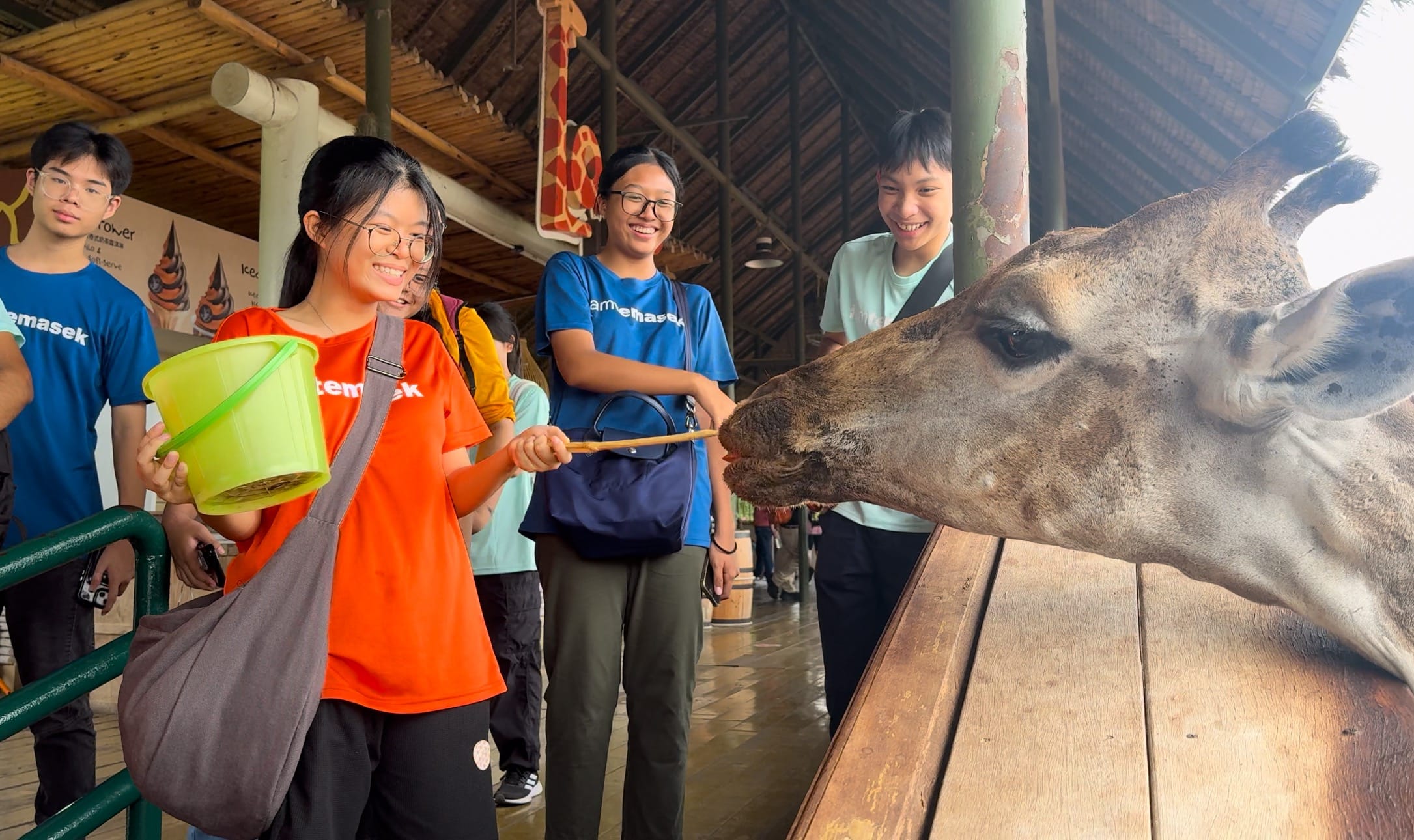 A group of smiling teenagers feed a giraffe with a stick at a zoo feeding station under a wooden shelter.