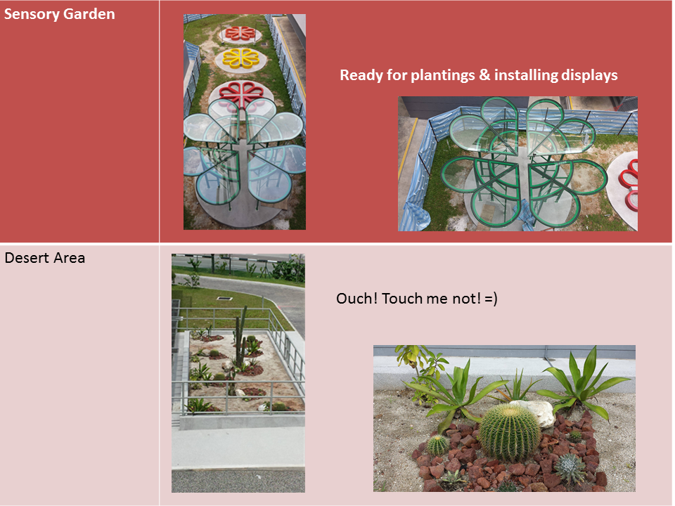 Sensory garden with flower displays and a desert area featuring cacti and succulents in sandy enclosures.