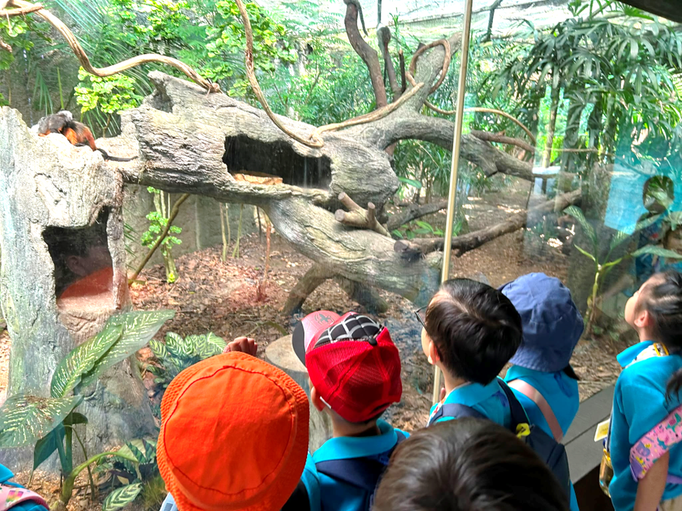 K1 Learning Journey - River Wonder