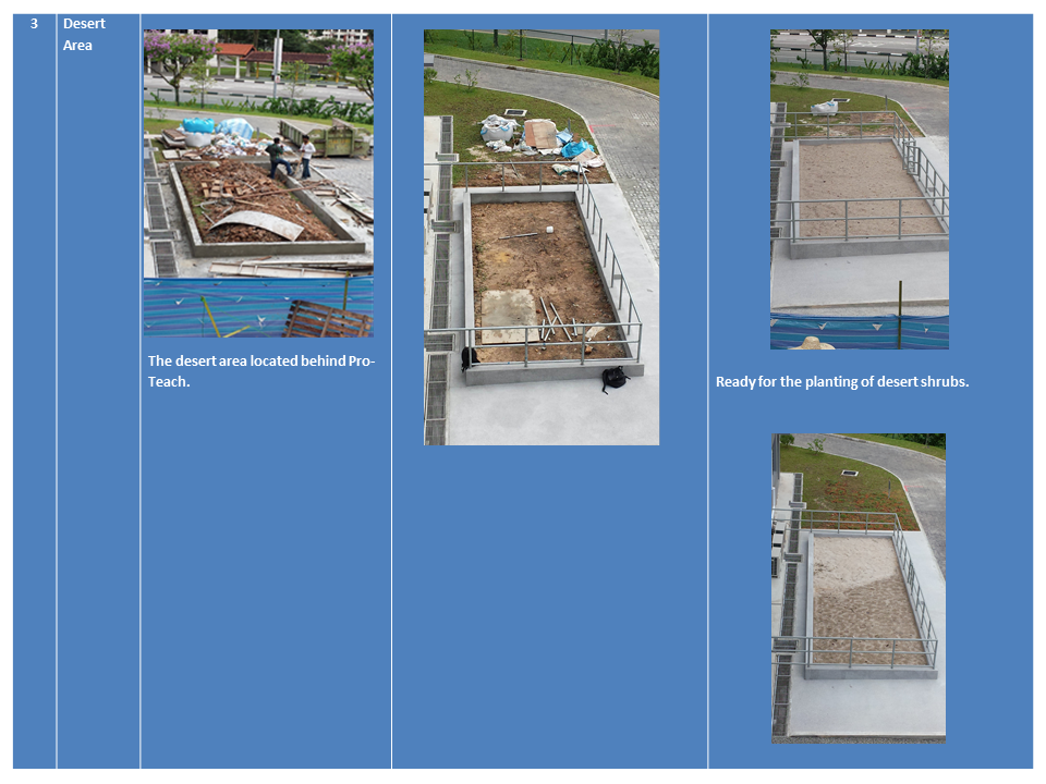 Four photos showing a desert area under construction, progressing from rubble-filled plot to a sand-filled fenced bed.