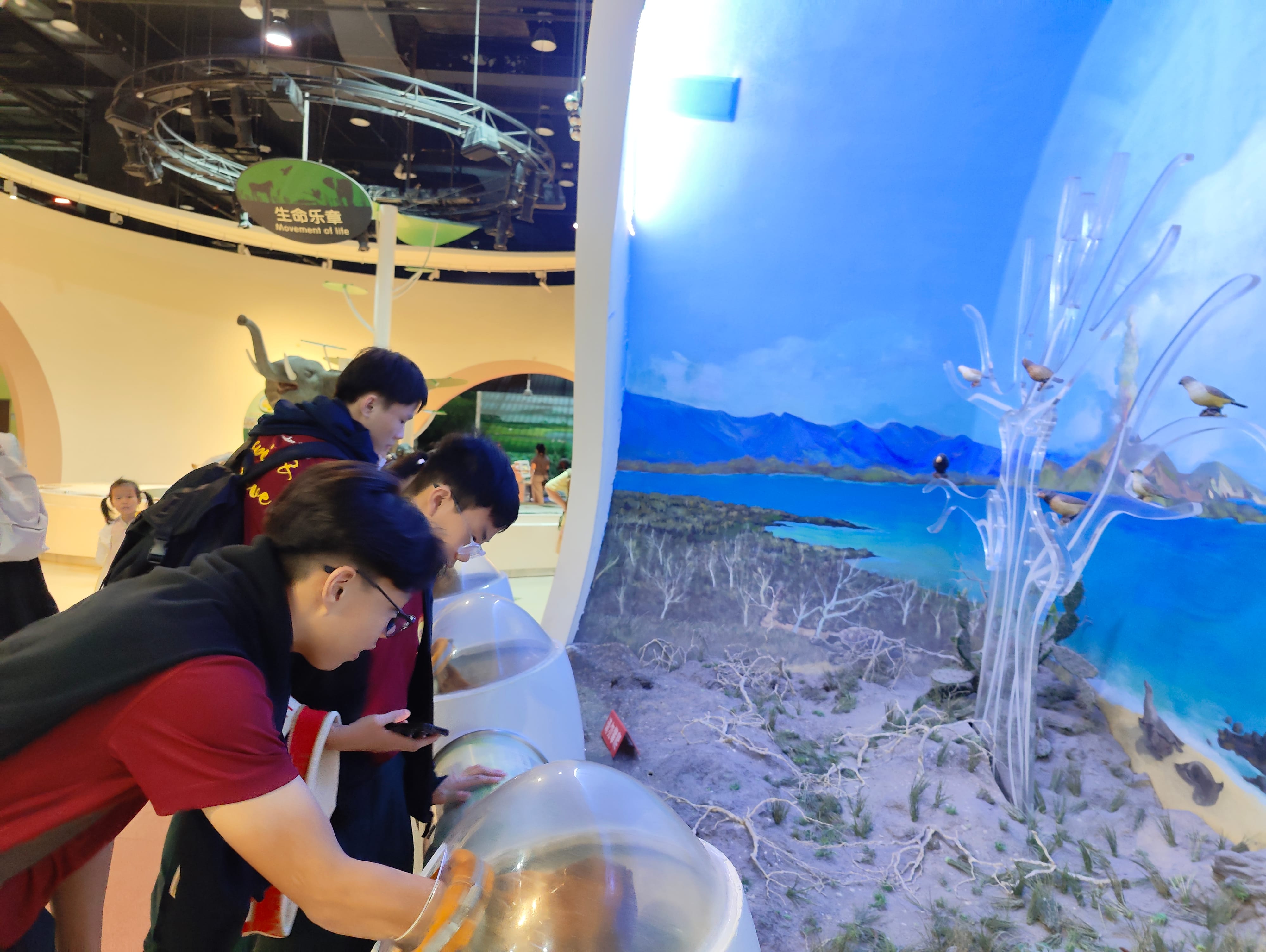Three people lean over touch domes in a museum display with birds on clear branches and a lake mural.
