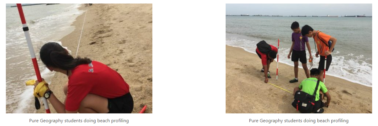Students conducting beach profiling on sandy shore using measuring poles and tape near ocean waves.