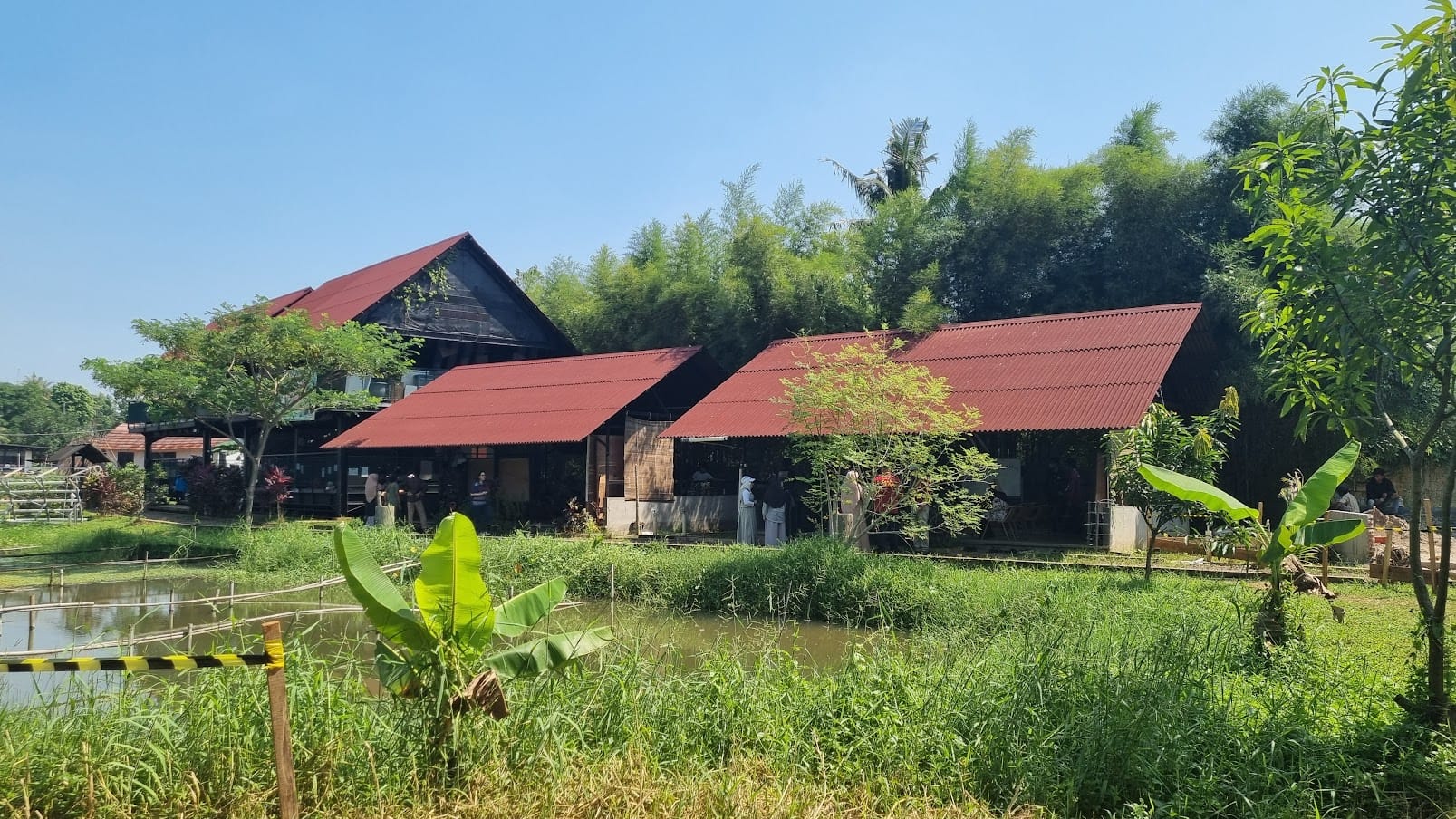 Rustic wooden buildings with red corrugated roofs surrounded by lush greenery, bamboo trees, and a small pond.