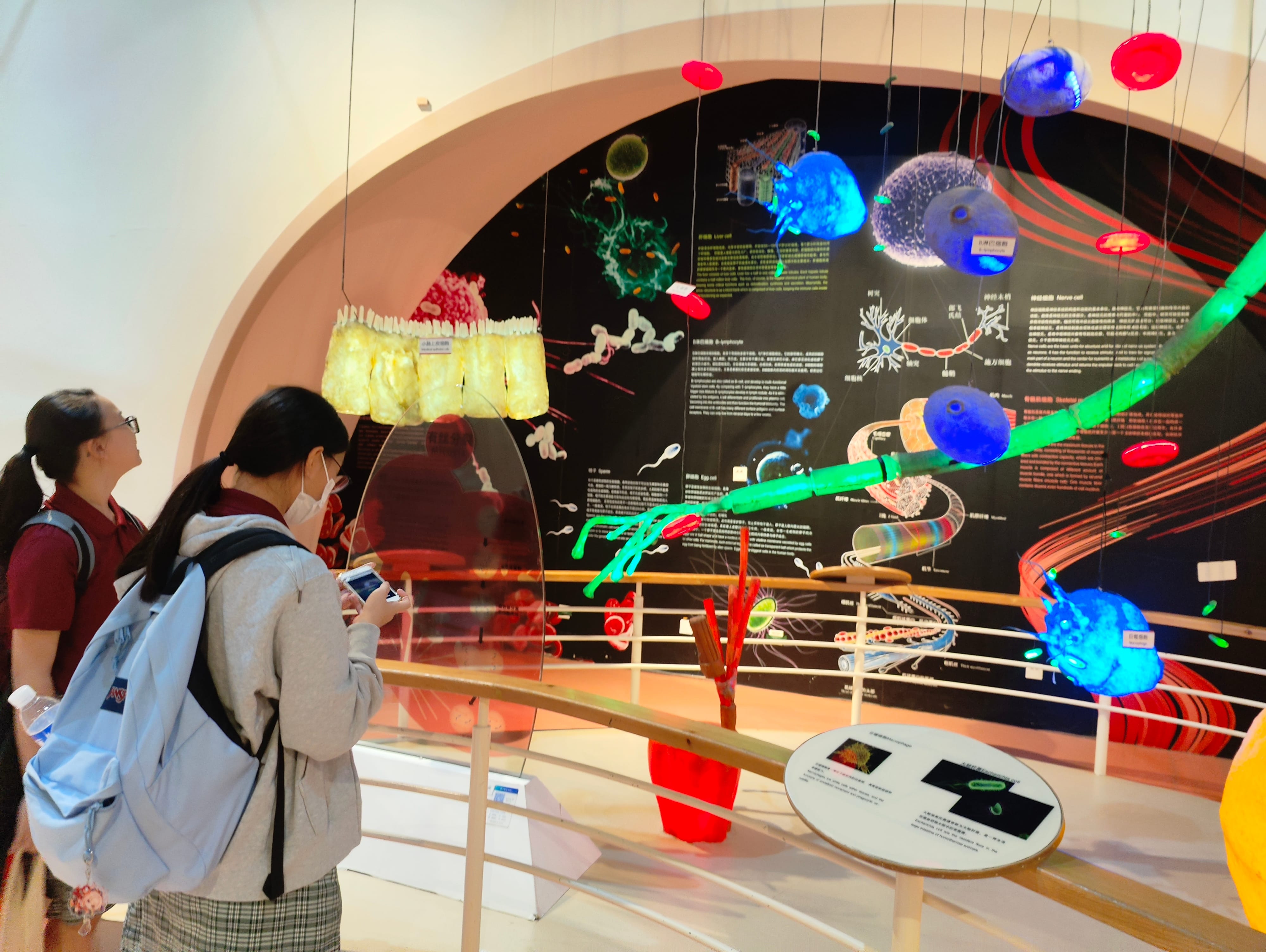 Two visitors view a museum exhibit with hanging colorful spheres and a large wall of scientific diagrams.