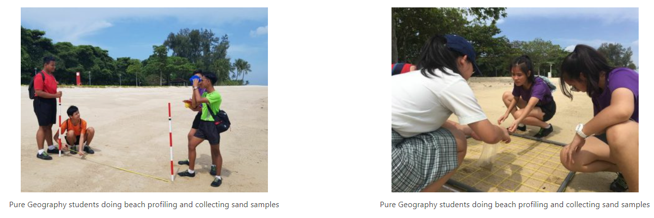 Students measuring a sandy beach with poles and tape, while others crouch to collect sand samples outdoors.
