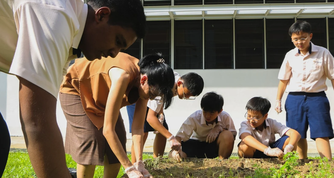 Several school students in uniforms crouch and bend over a soil garden bed outdoors, planting or tending to small plants.