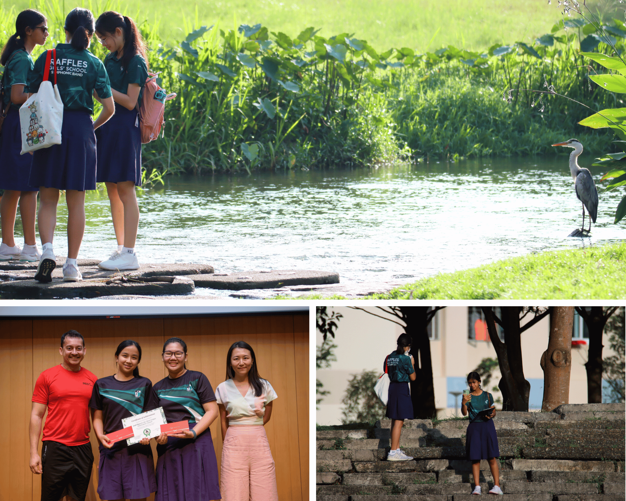 Three scenes of Raffles Girls' School students outdoors near a pond with a heron, receiving certificates, and on stone steps.