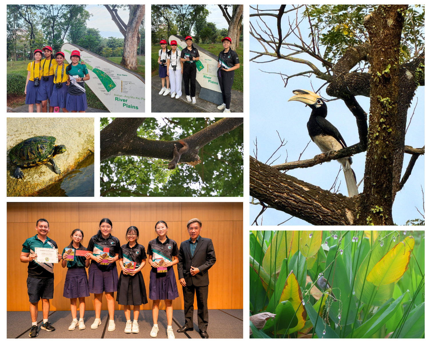 Students at Bishan-Ang Mo Kio Park pose near signs, receive awards, alongside wildlife photos of a hornbill, turtle, and squirrel.