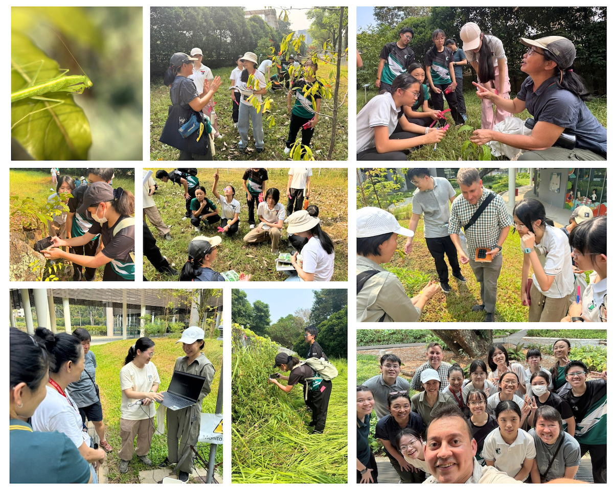A photo collage of students and other staff members at a greenery site exploring and interacting with the plants and green environment, and taking photos.
