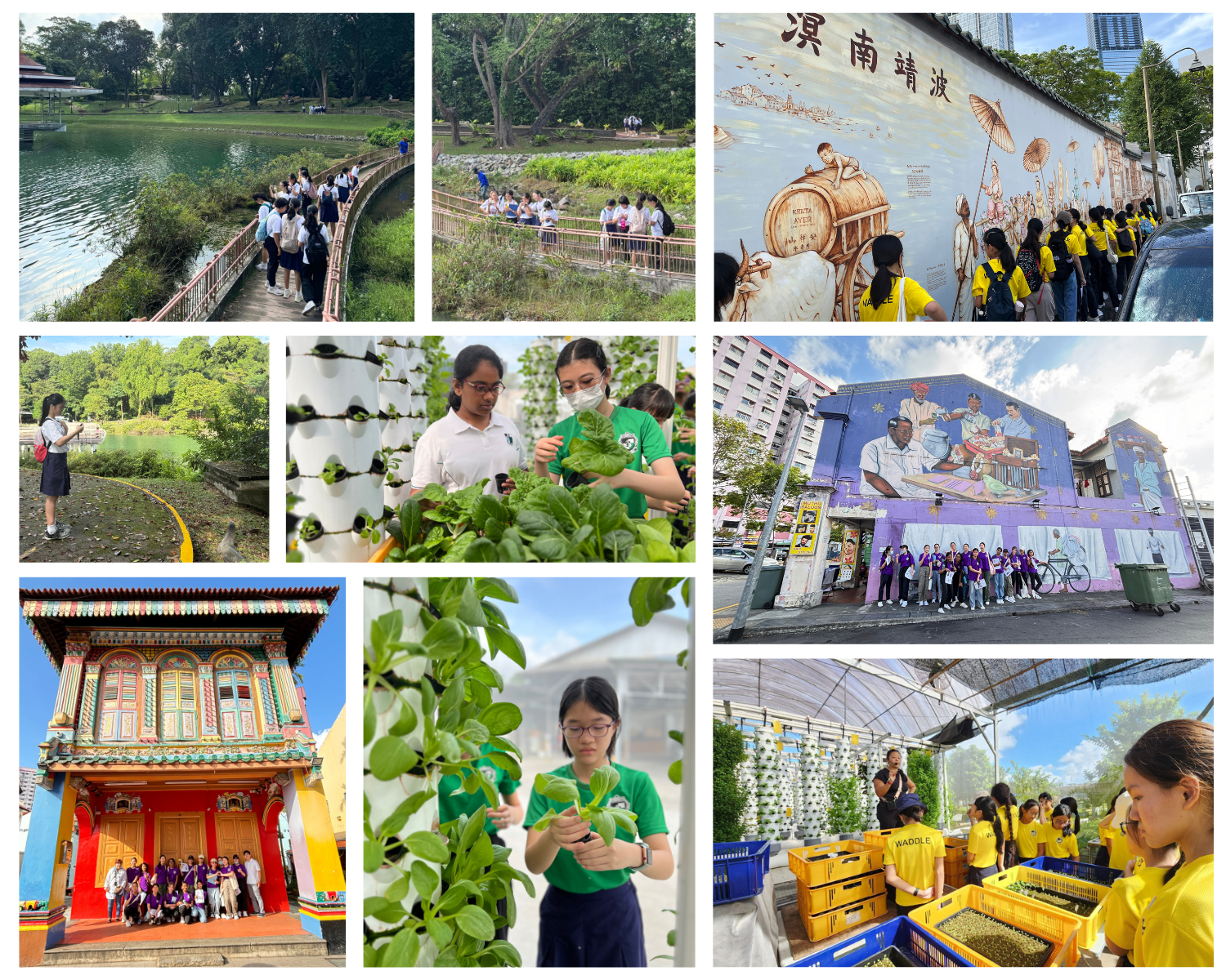 Collage of students on field trips visiting parks, street murals, a colorful heritage building, and an urban farm.