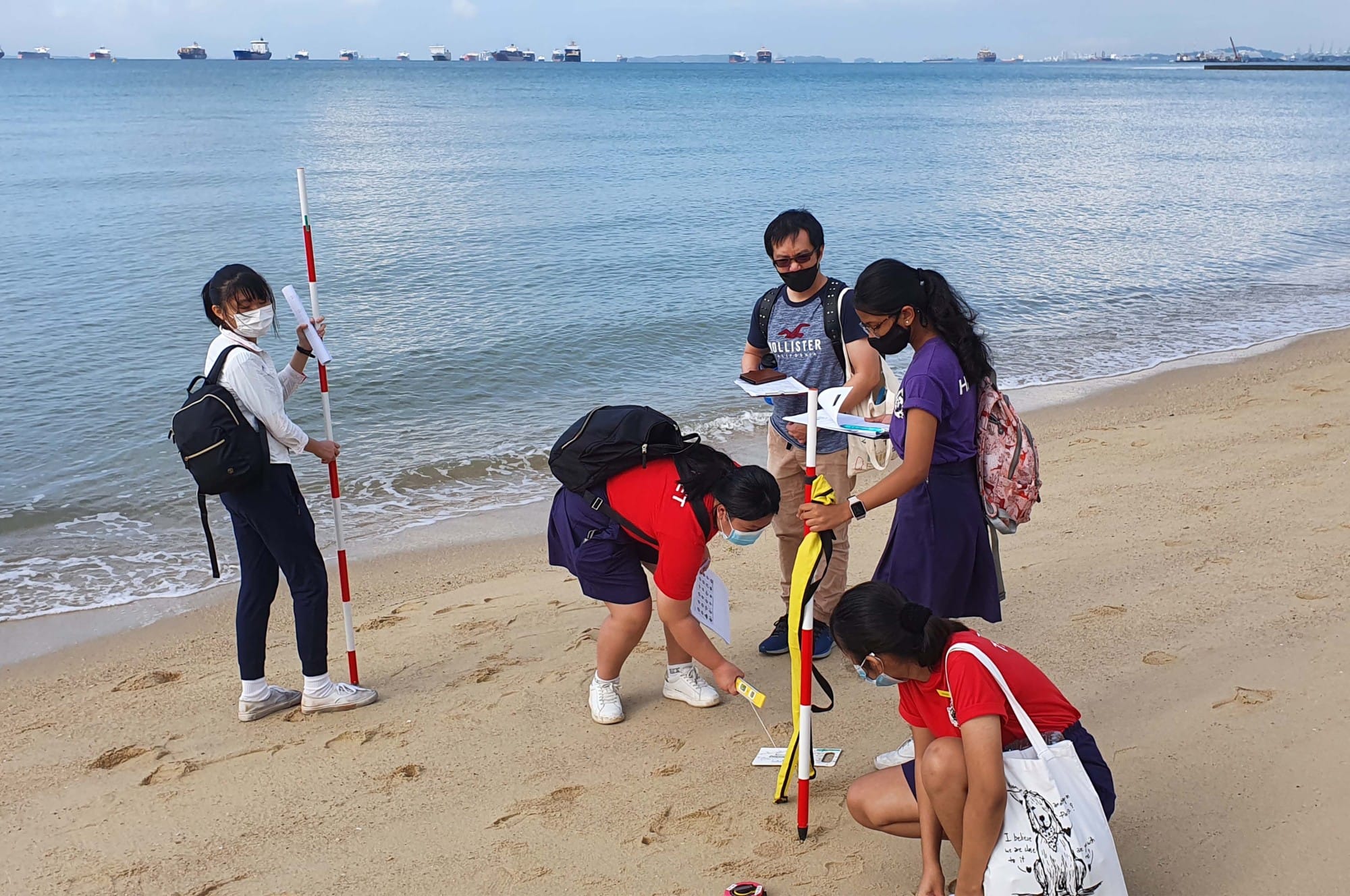 Five masked students and an adult conduct a beach survey using measuring poles and clipboards on a sandy shore.