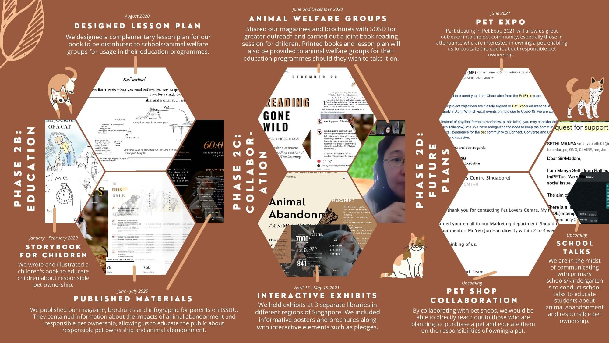 Infographic showing phases of a pet welfare education project with hexagonal sections, text, and photos.