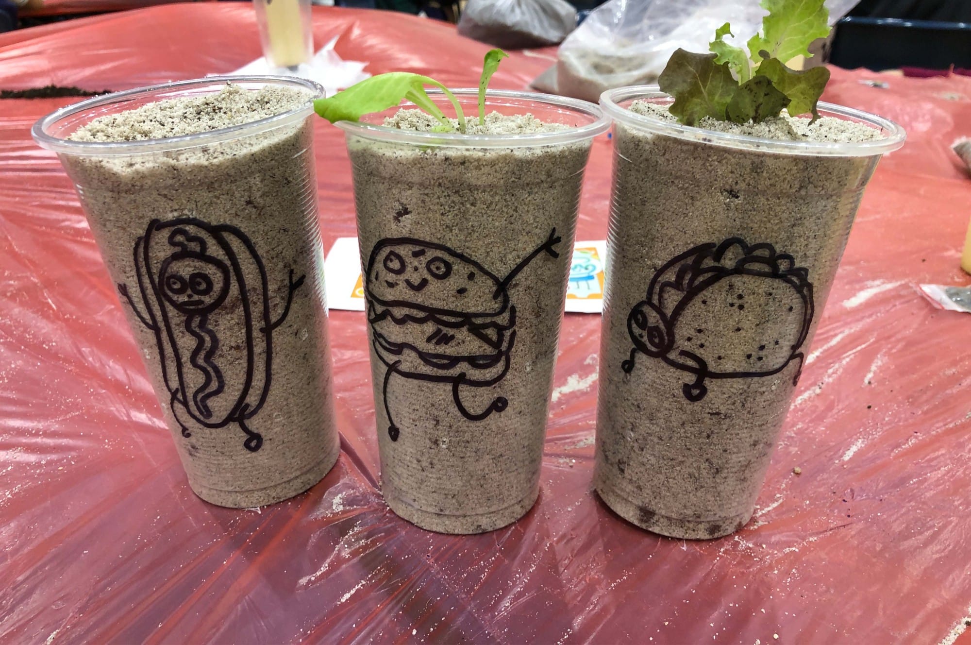 Three cups filled with dark soil and small green sprouts, each drawn with cartoon food characters: a hot dog, burger, and taco.