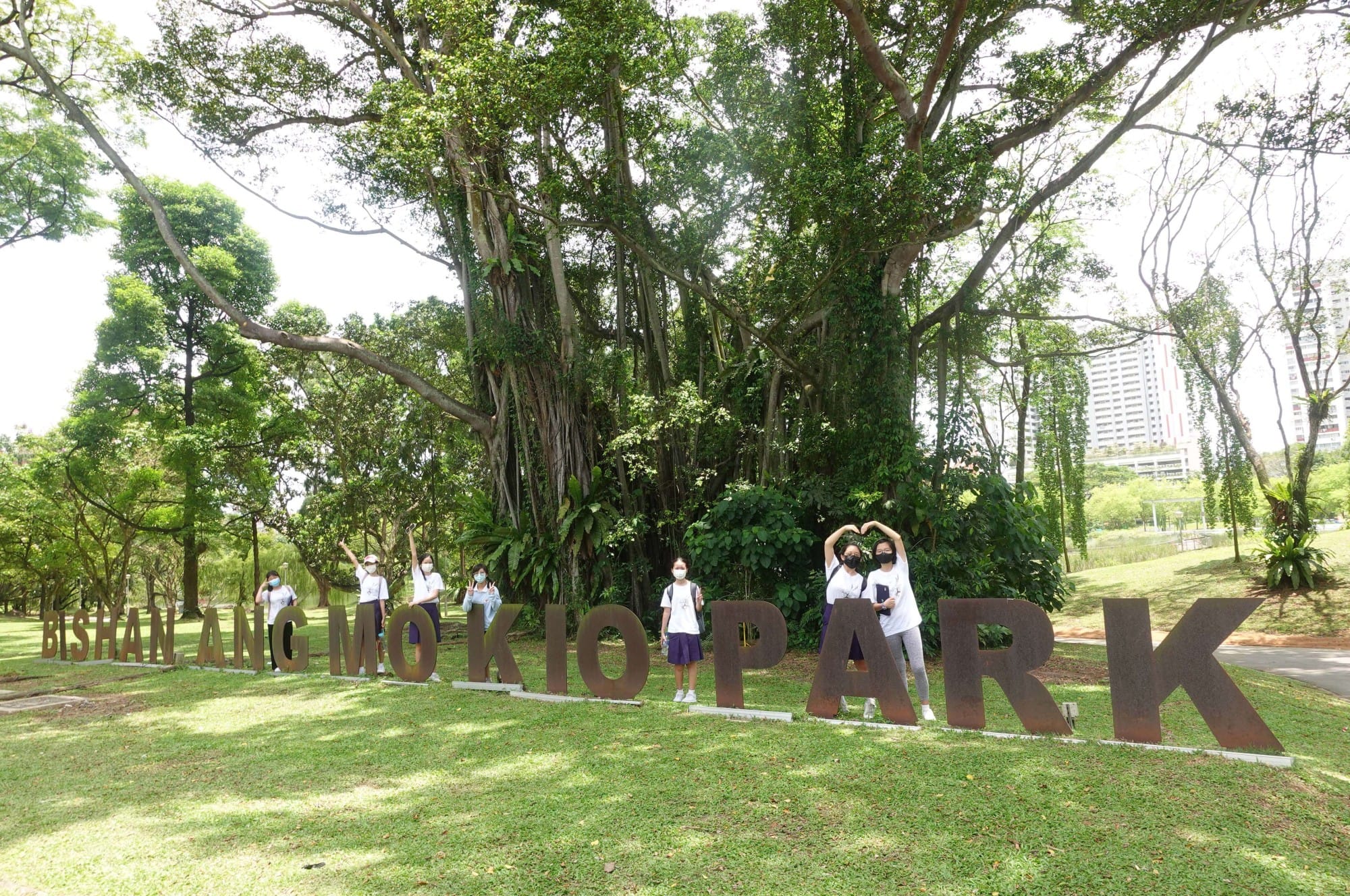 Students in white shirts and masks pose by the large Bishan Ang Mo Kio Park sign with a huge banyan tree behind them.
