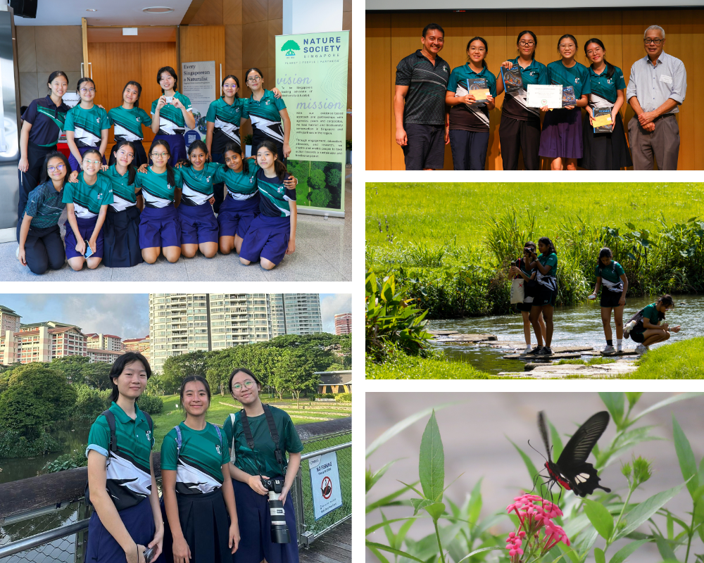 Collage of school girls in teal uniforms posing, receiving awards, exploring a stream, and a black butterfly on pink flowers.