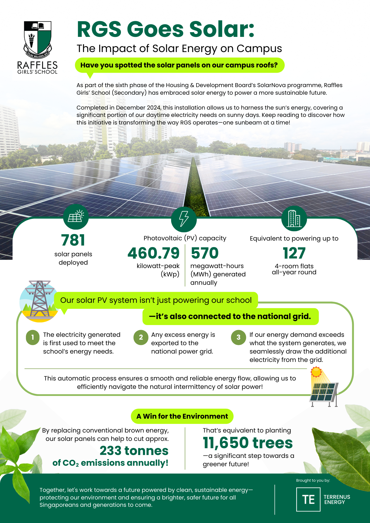 Infographic about Raffles Girls' School solar energy program showing 781 panels, 460.79 kWp capacity, and environmental stats.