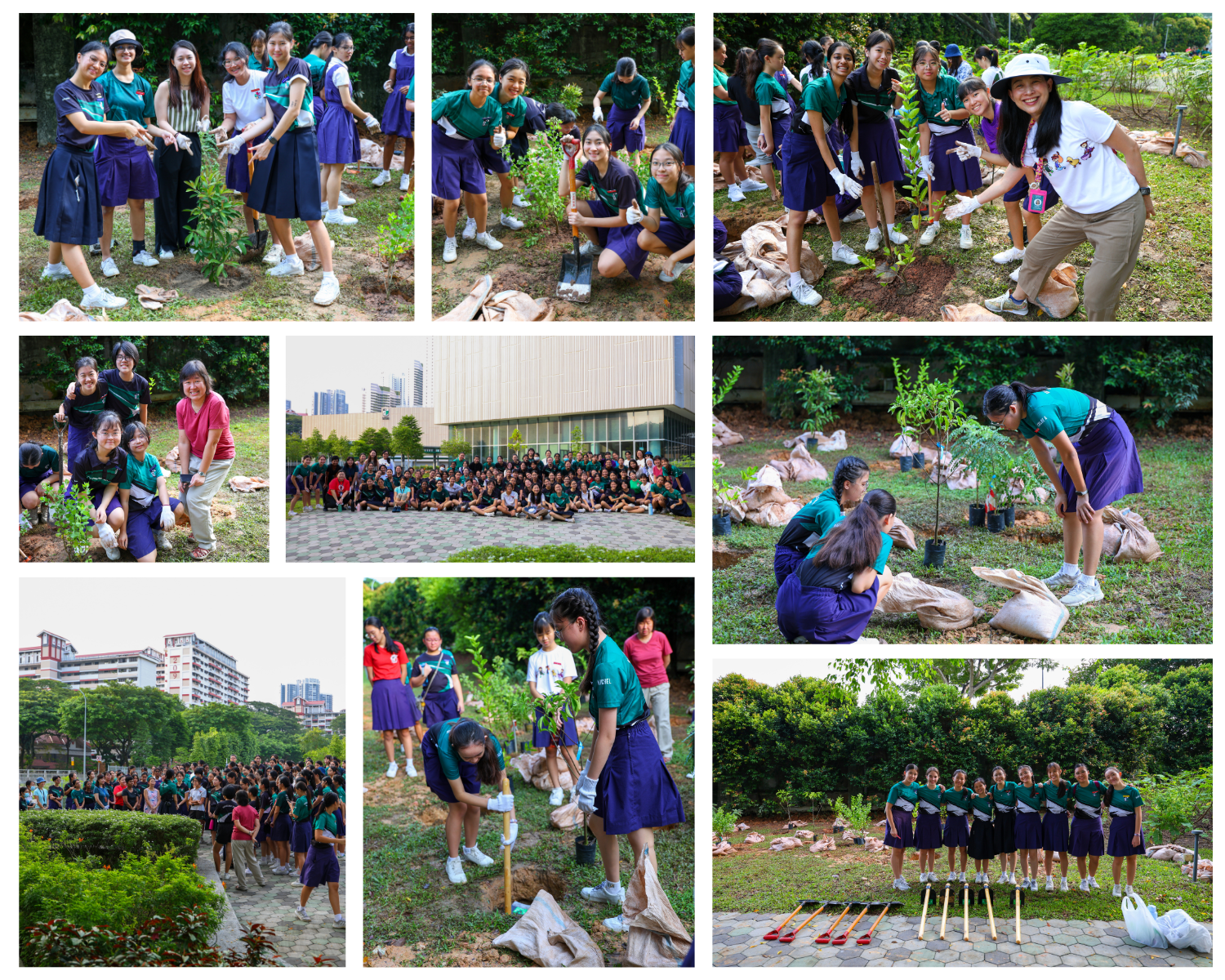 A collage of students in uniforms planting trees outdoors, posing with shovels, and gathering for a group photo.