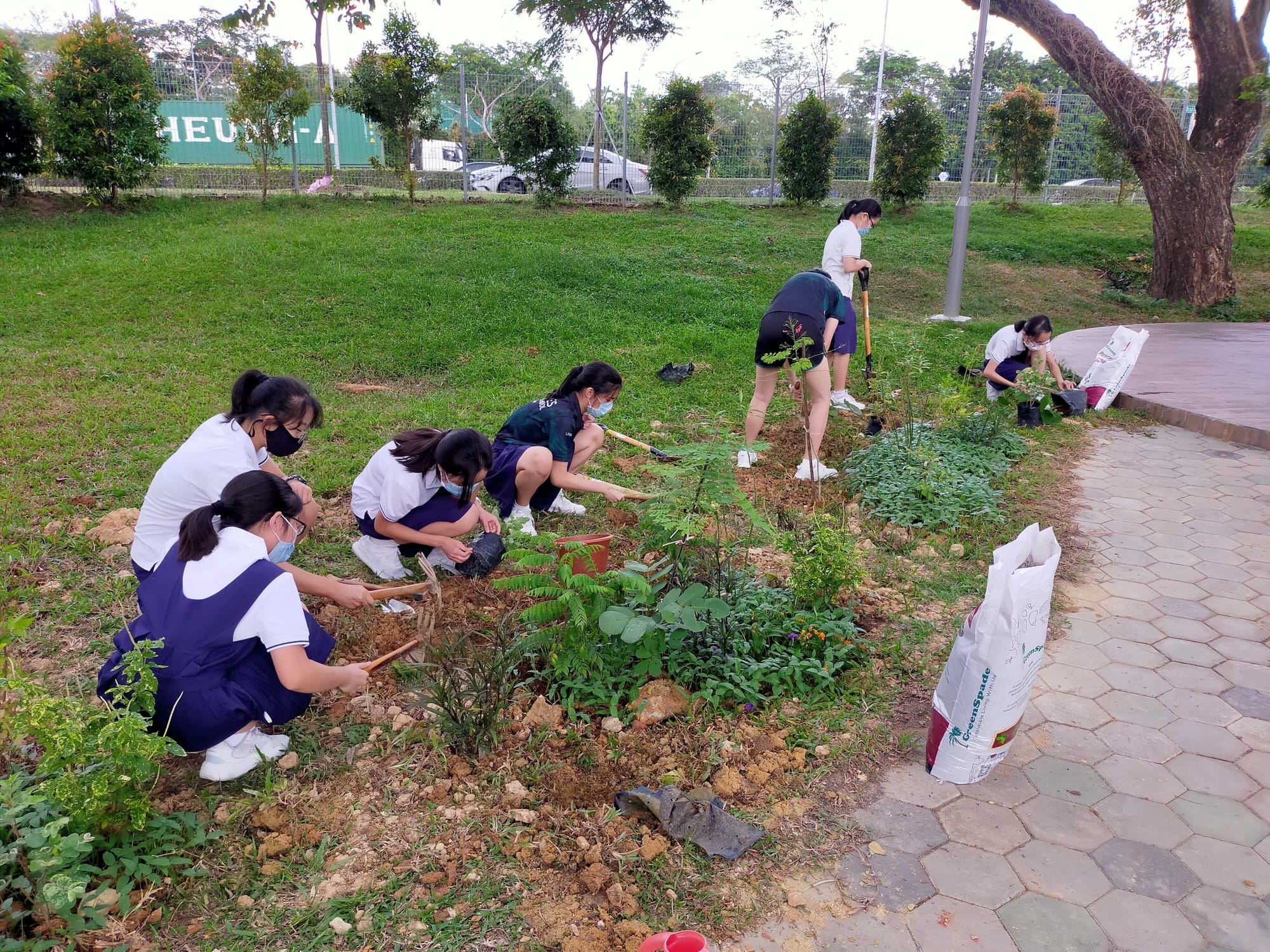 Students wearing masks and school uniforms kneel and dig in a garden bed, planting small plants outdoors.