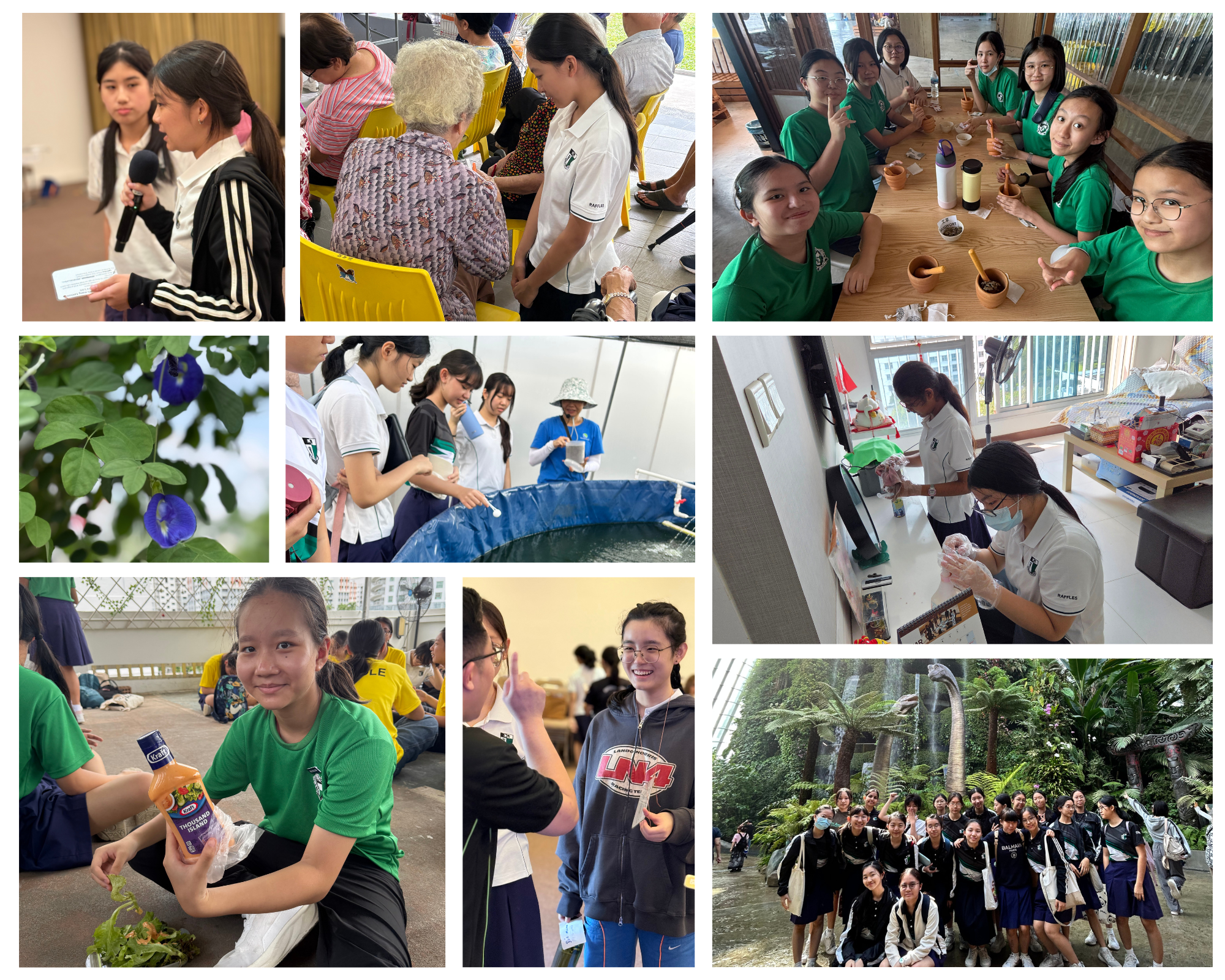 Collage of students doing activities: speaking with mic, helping elderly, crafting, visiting smart farms, and group photo outdoors.