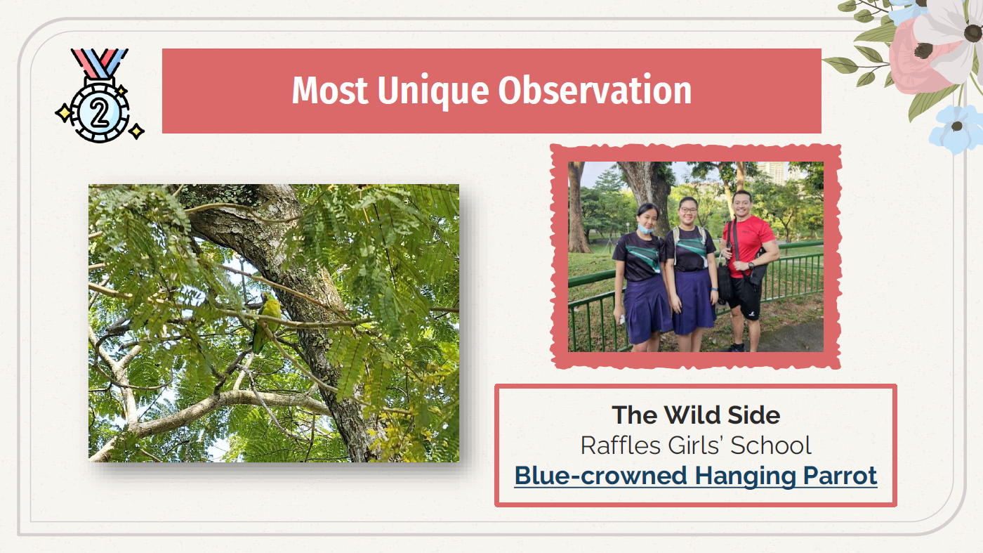 Award slide for Most Unique Observation showing a green parrot in a tree and three people posing outdoors in a park.