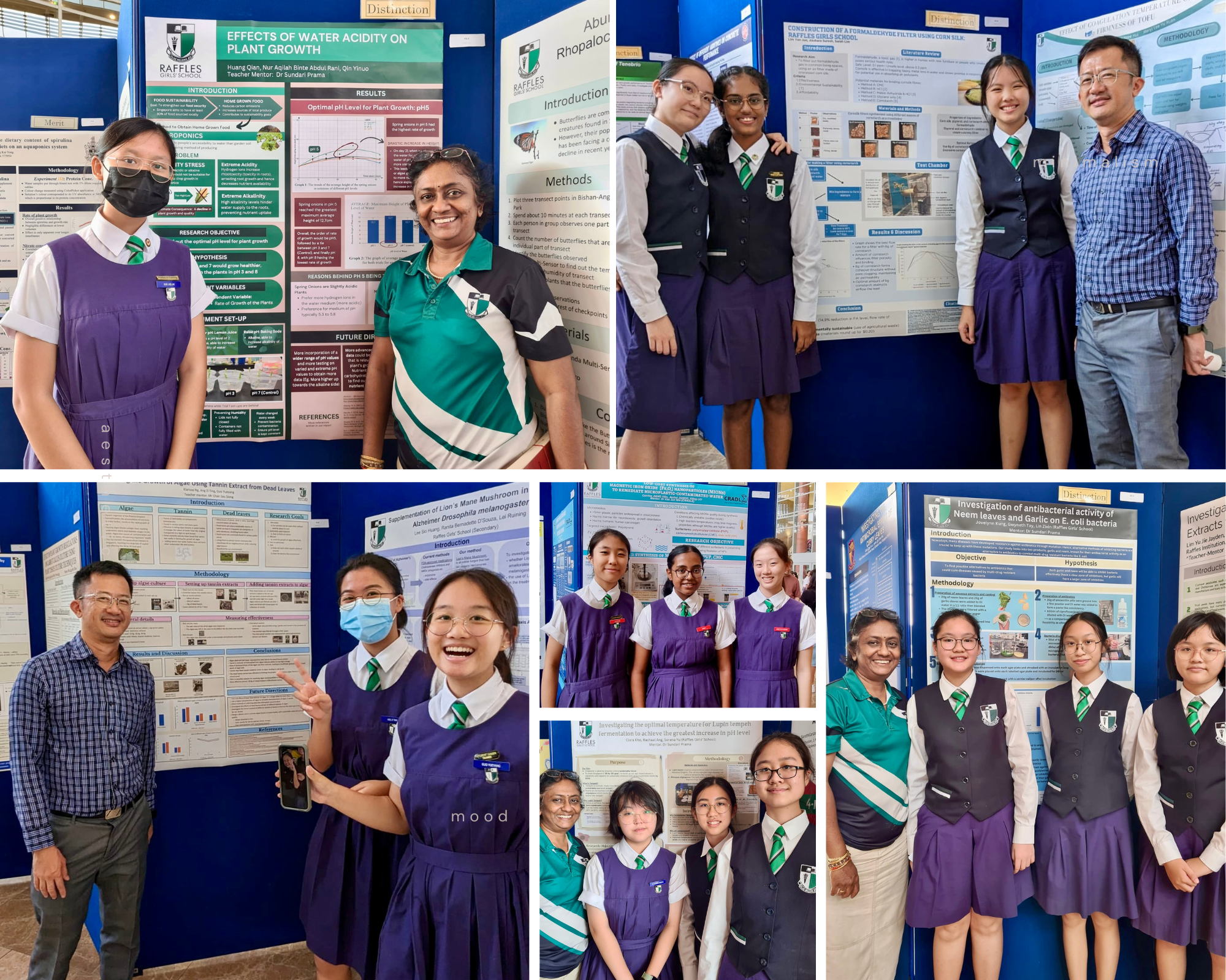 Collage of students and teachers posing by school science posters on blue display boards.