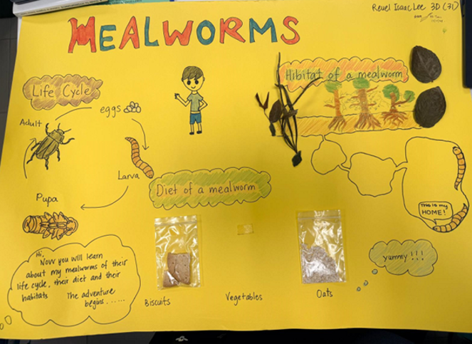 designing informative posters