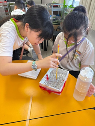 Primary 4 students collaborate to construct their Super Cooler Box prototypes