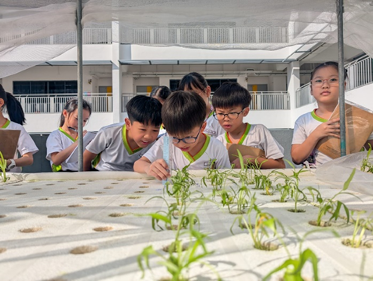 students exploring growing new crops