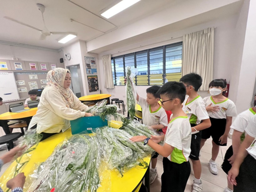 Our students with their hearts in action, packing their harvest for donation, connecting science with service. 