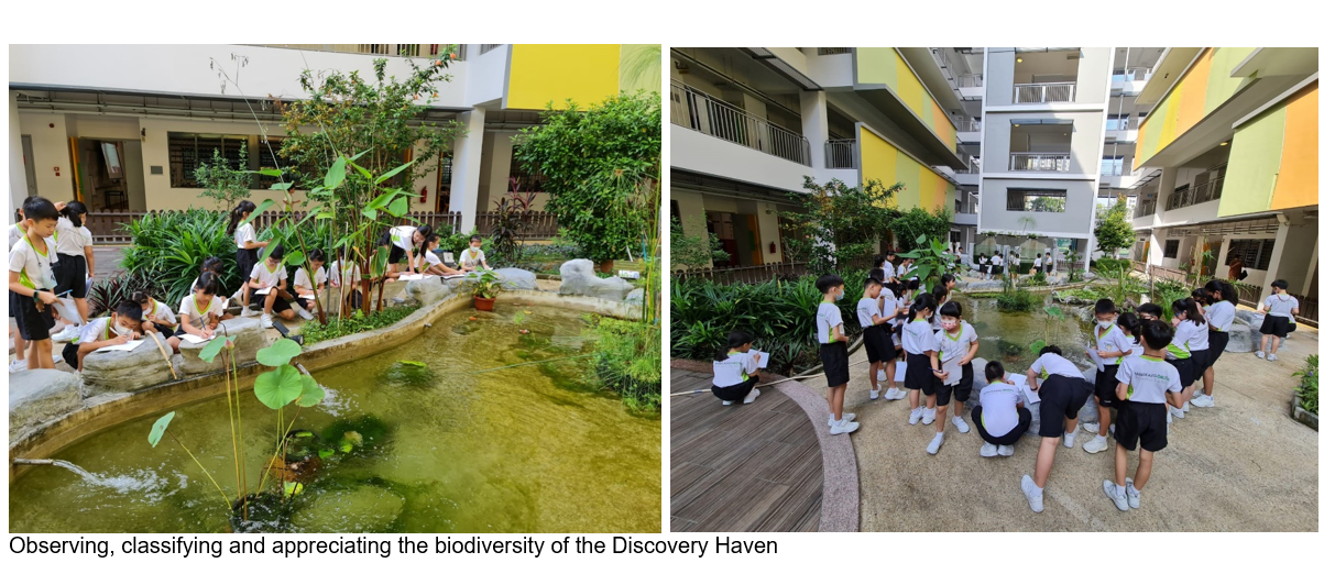 Students in white and black uniforms observe and take notes near a pond and garden in a school courtyard.